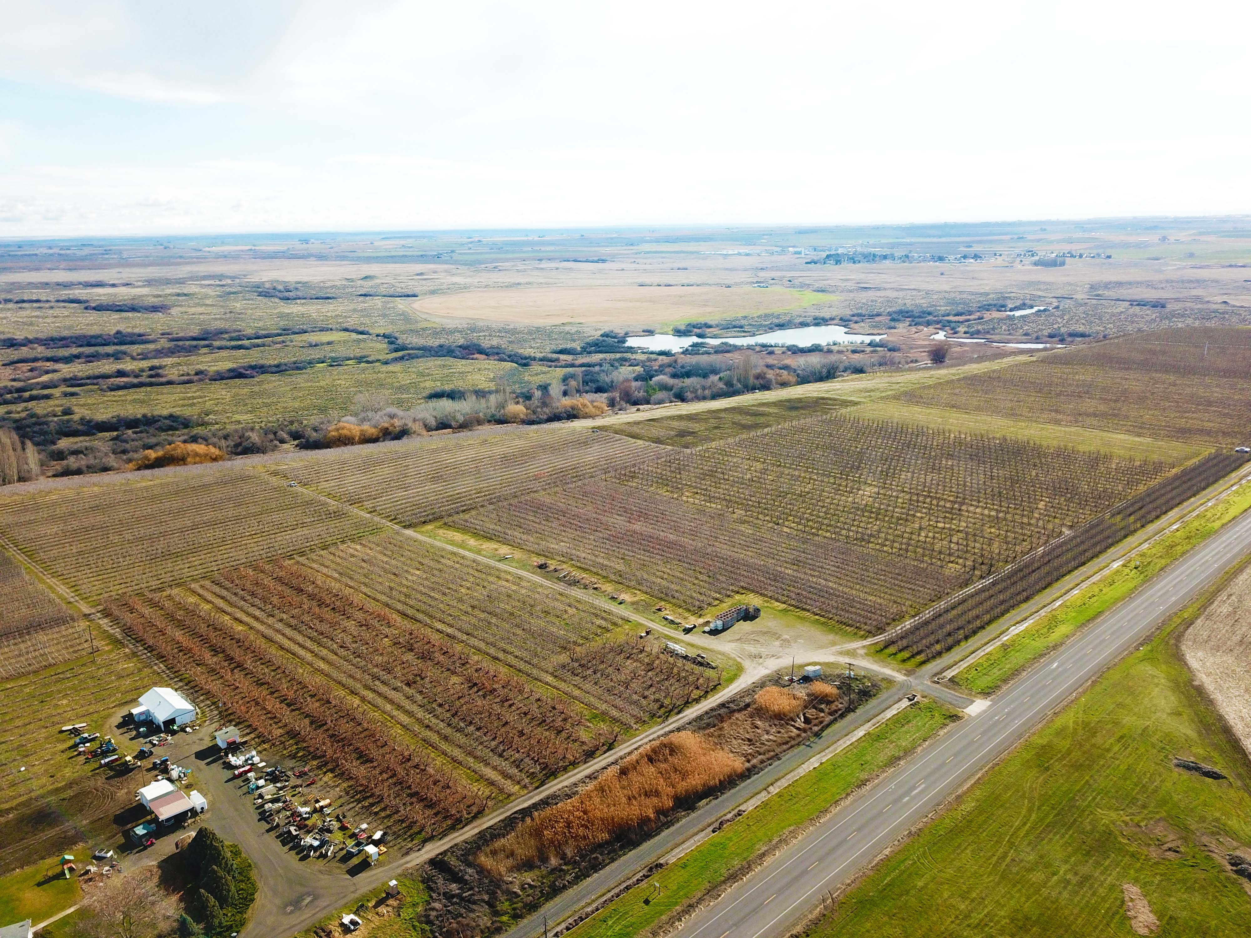 Best Price in County for Productive Orchard