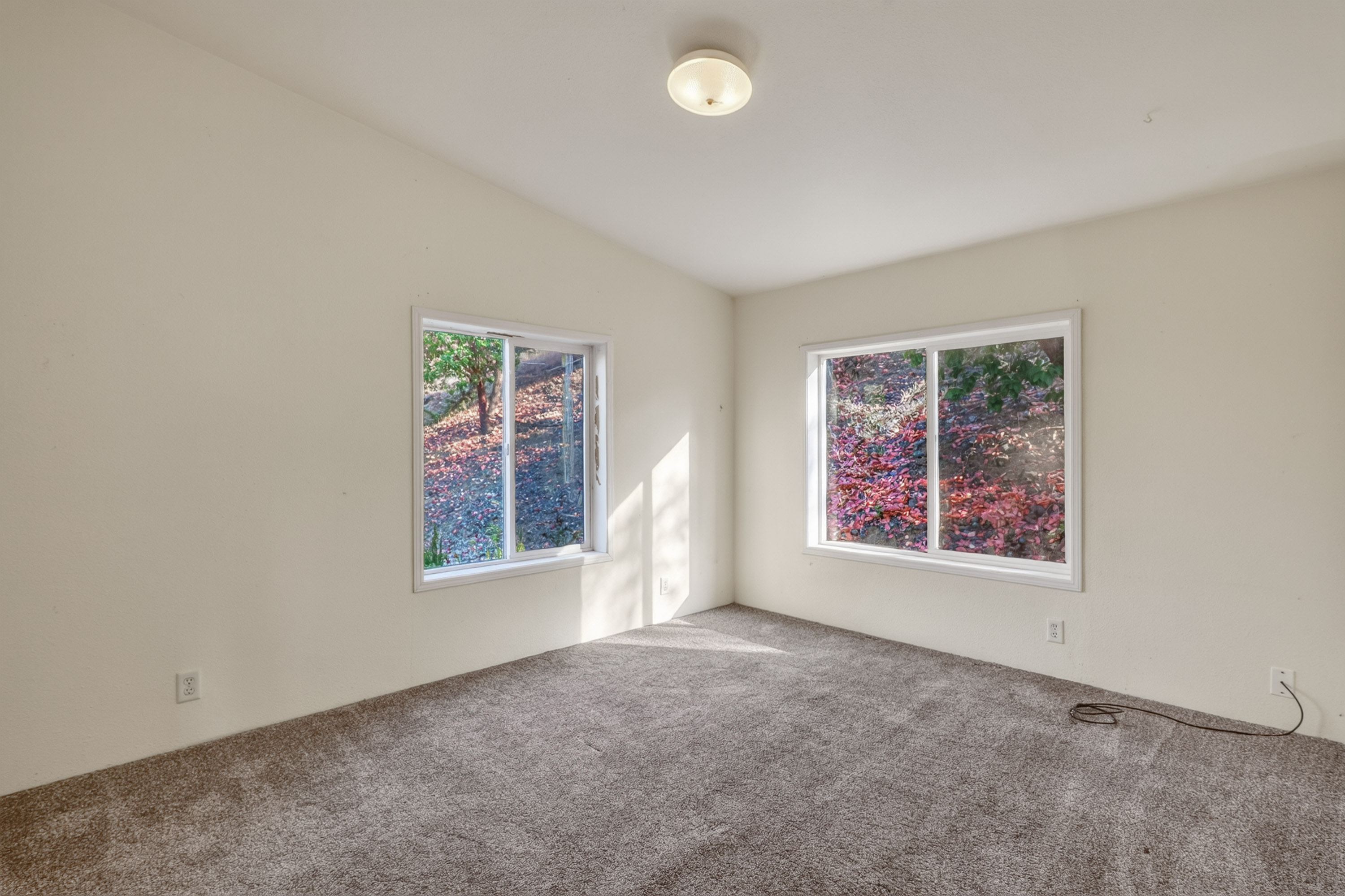 Listing Image 56