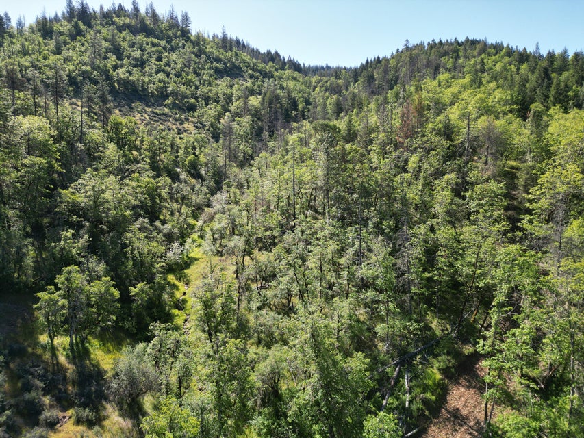 Listing Image 52