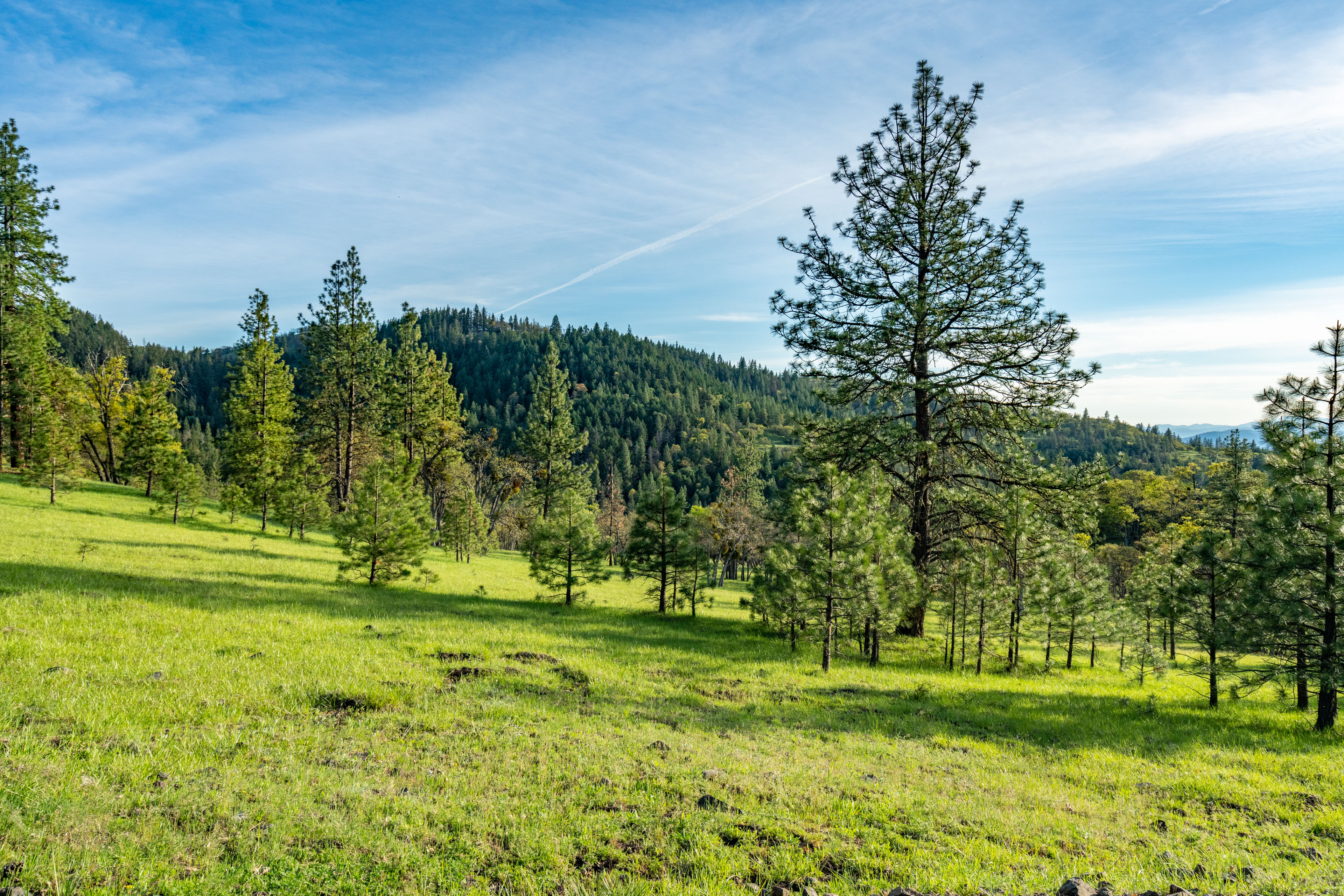 Mount Baldy Ranch