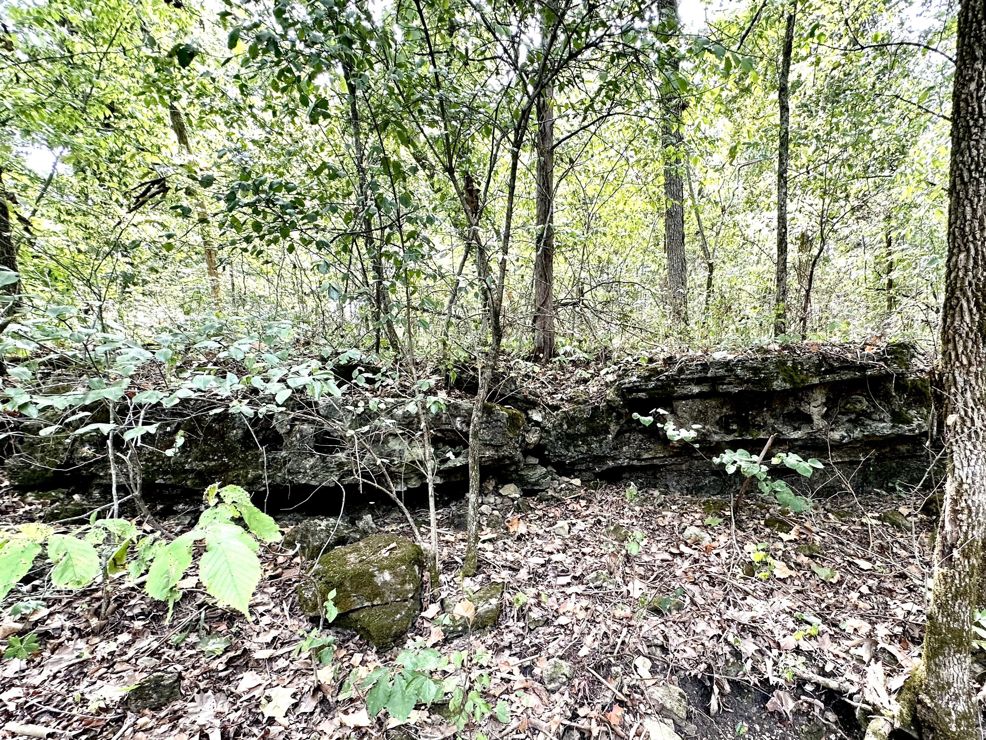 Hickory Hill Hollow