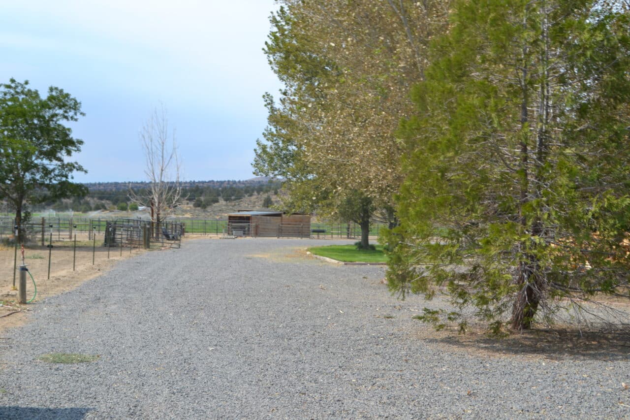 Listing Image 68