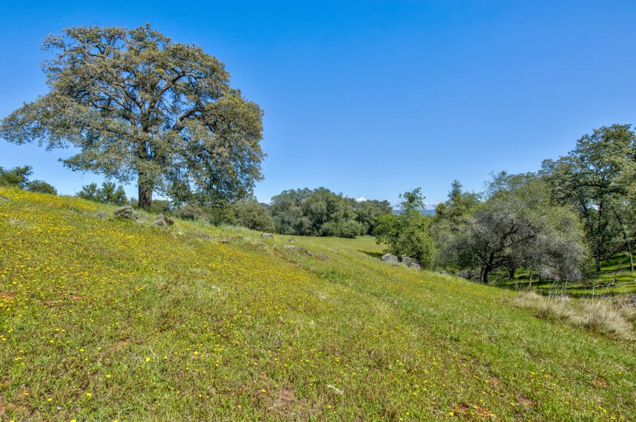 Listing Image 83