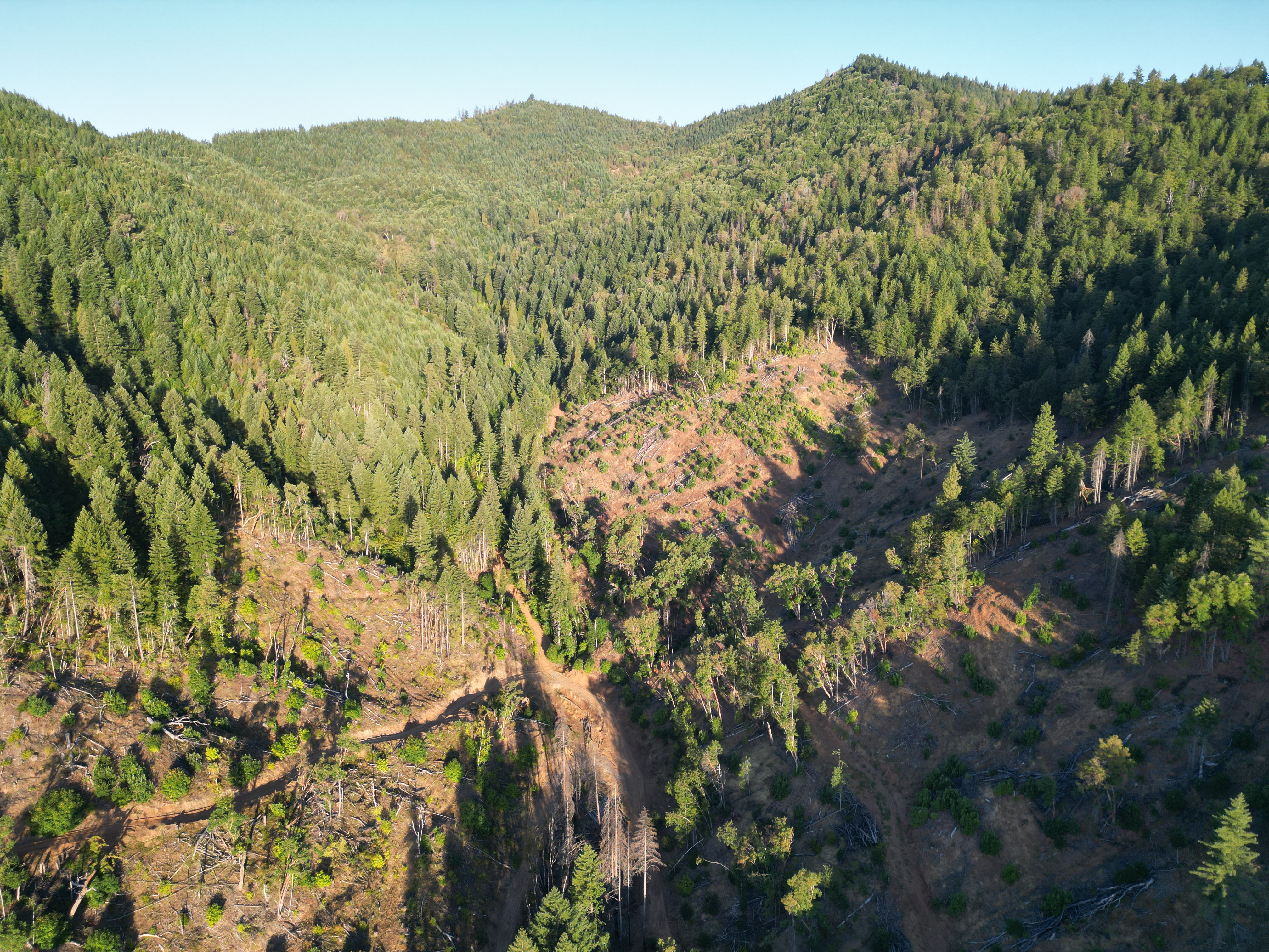 471 AC-E Evans Creek Rd