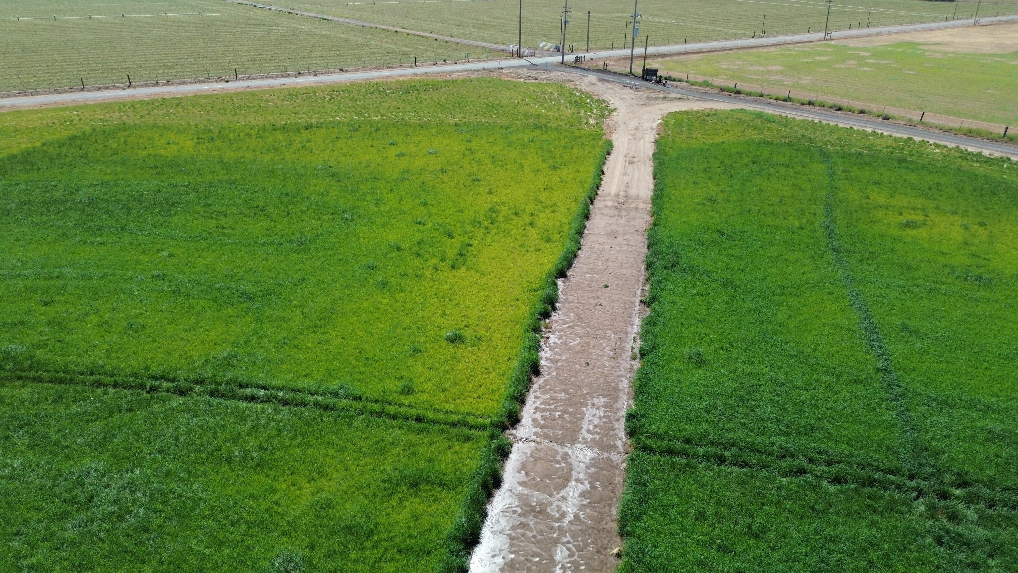Listing Image 24