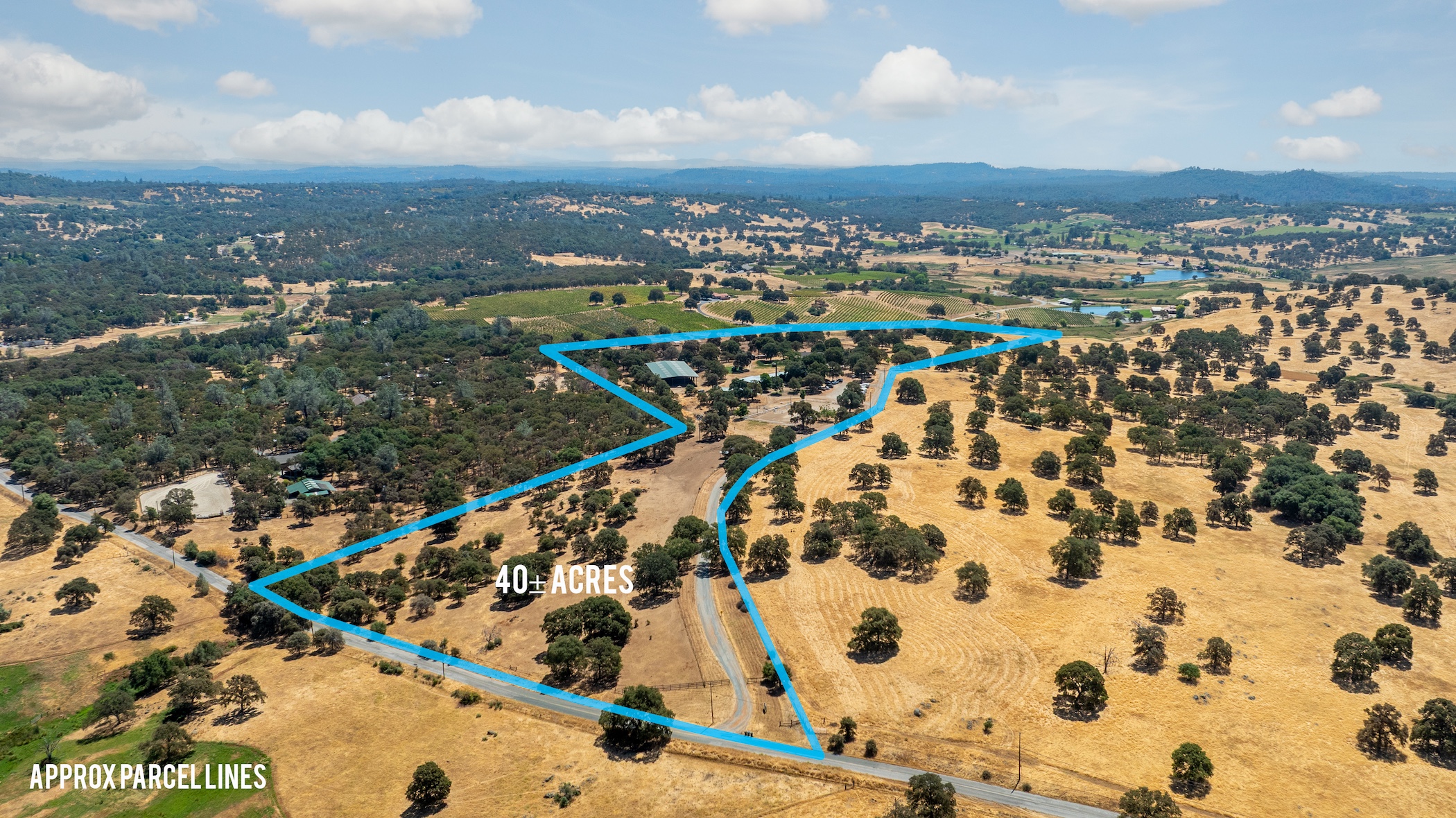 Blue Fountain Farm