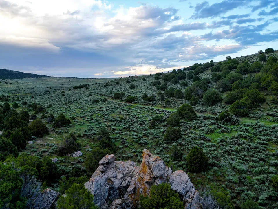 Maybell Grazing & Big Game Ranch