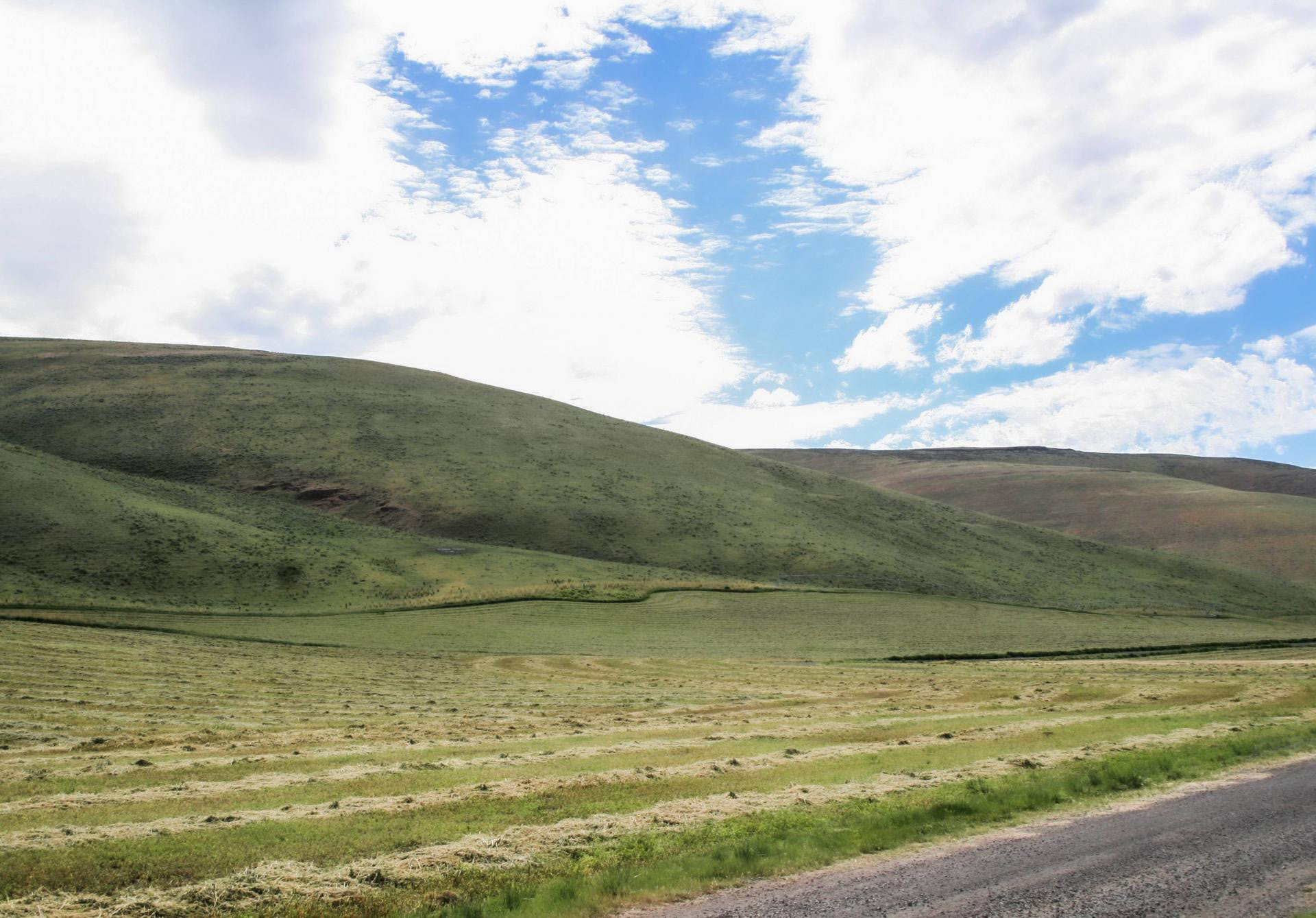 Listing Image 64