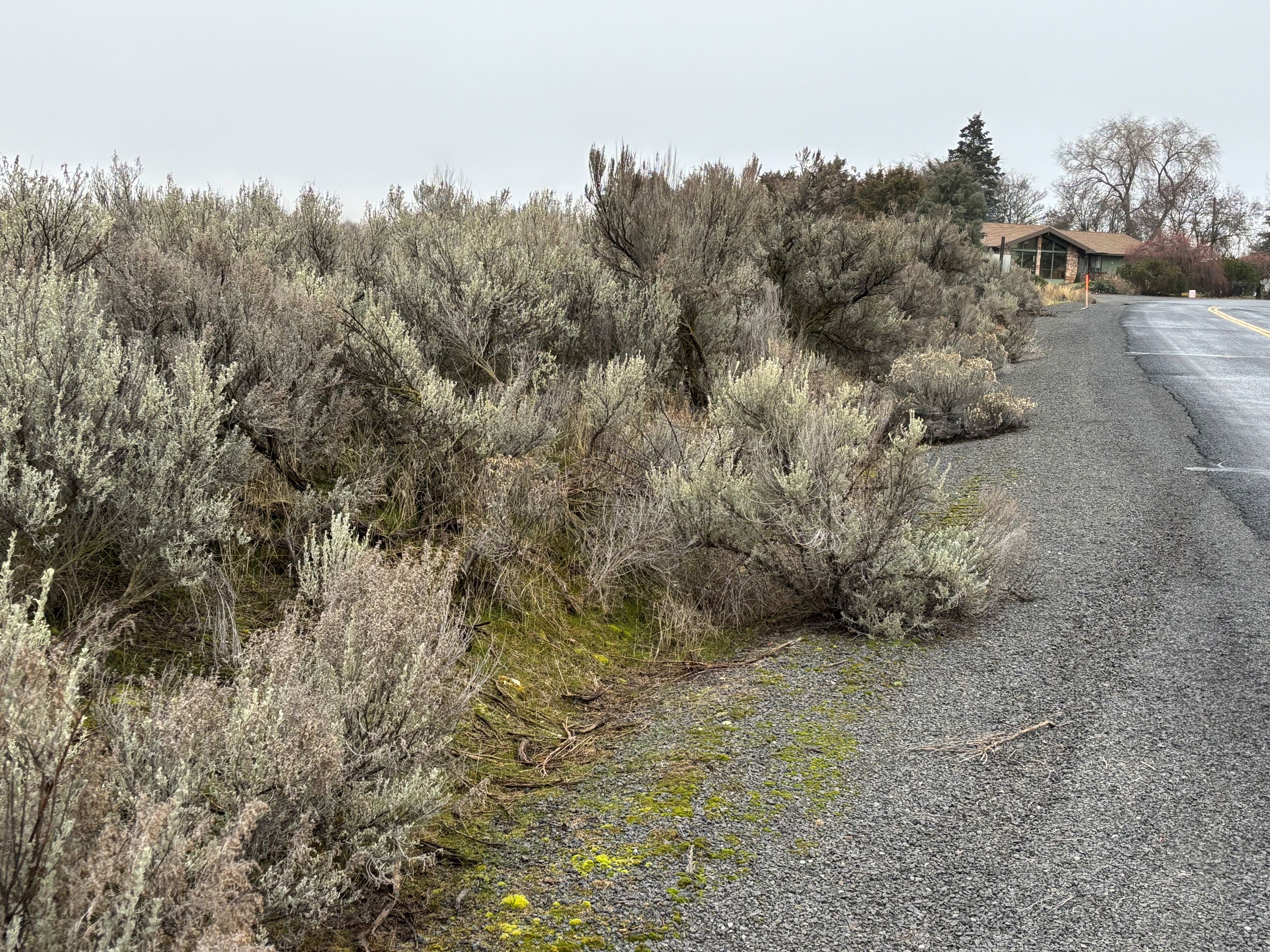 Over 10 Acres with room to Play!