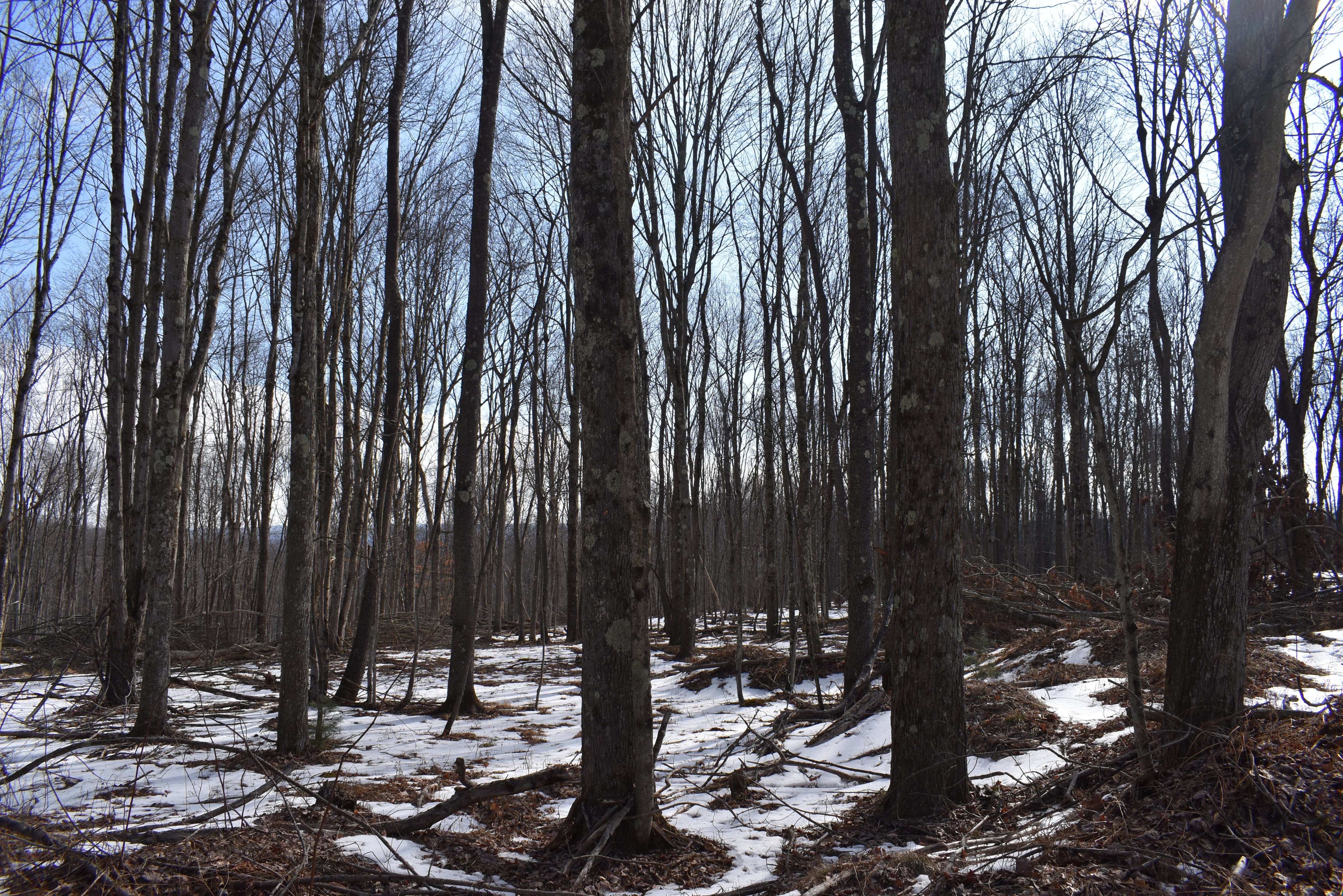 Keating Mountain Masterpiece