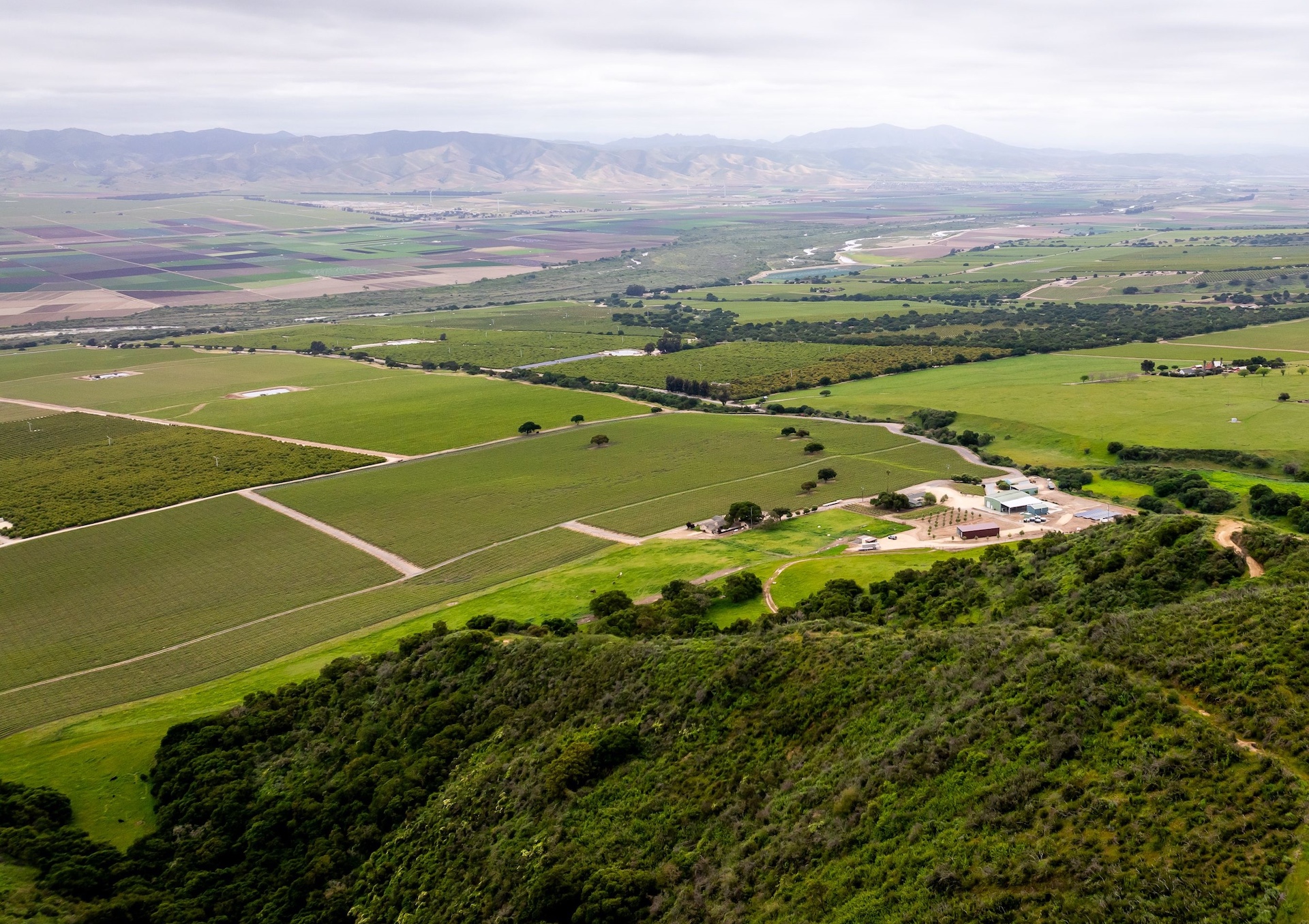 Boekenoogen Santa Lucia Highlands Vineyard