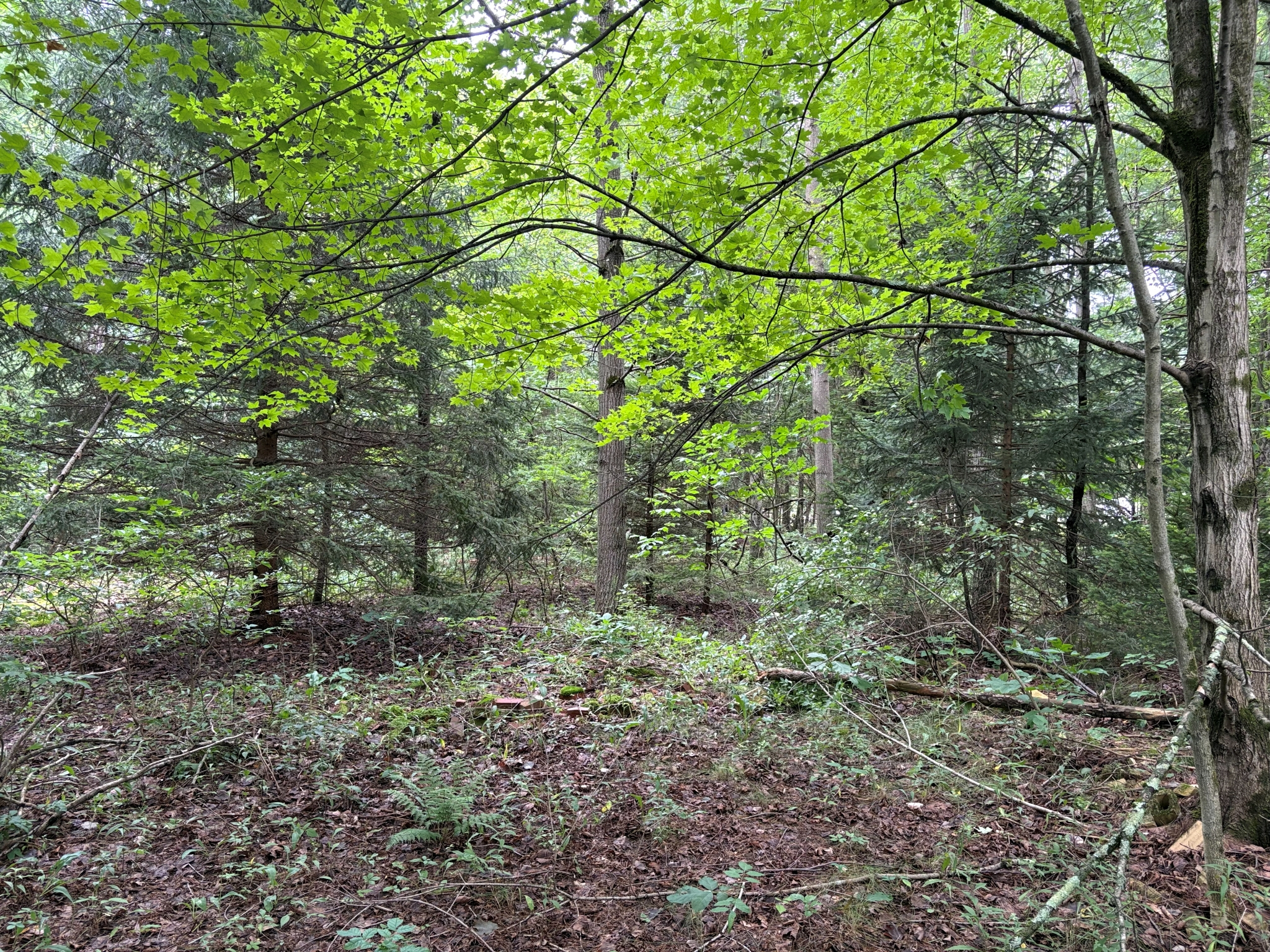 Listing Image 17