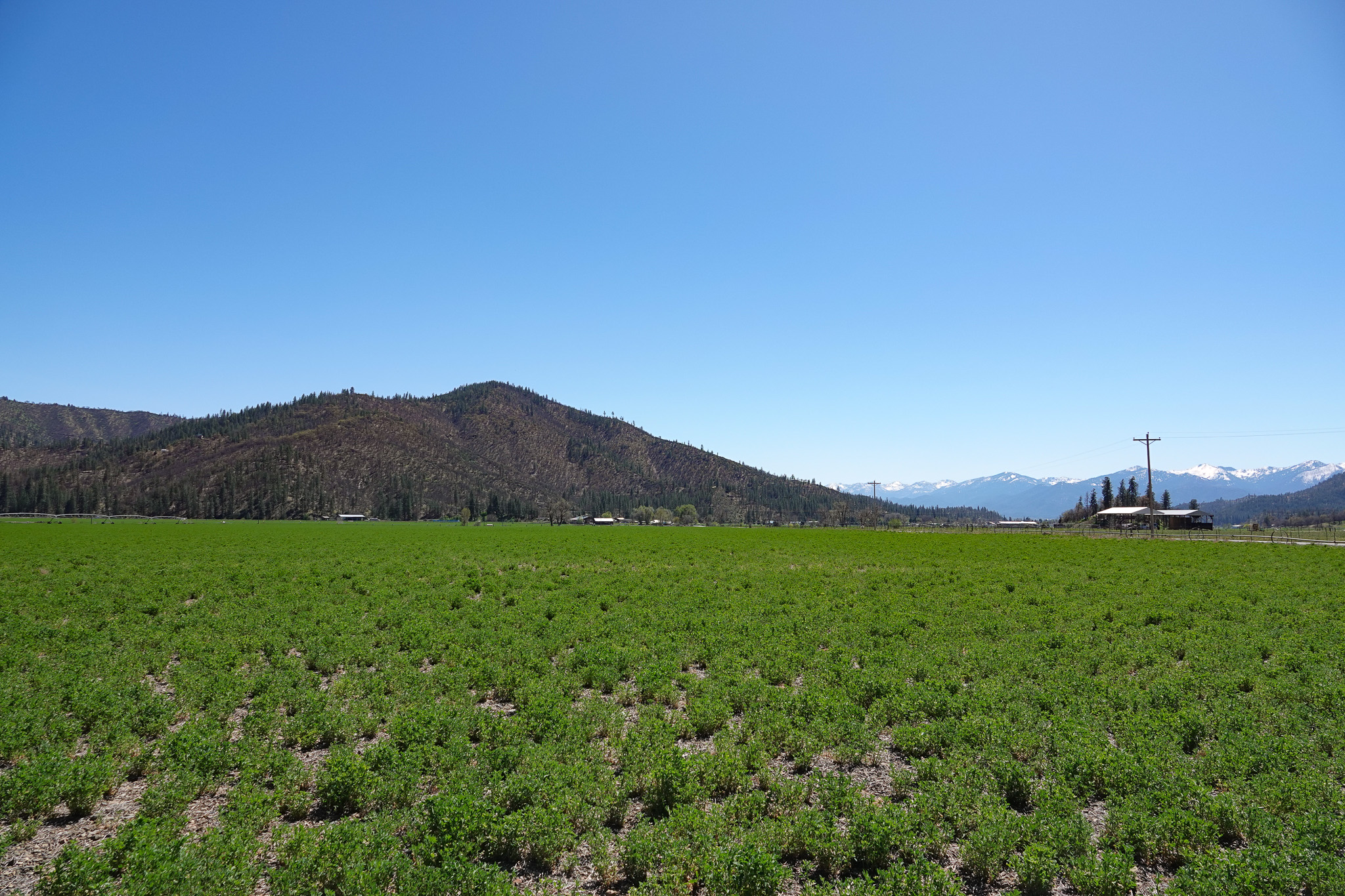 Kraus and Sons Ranch