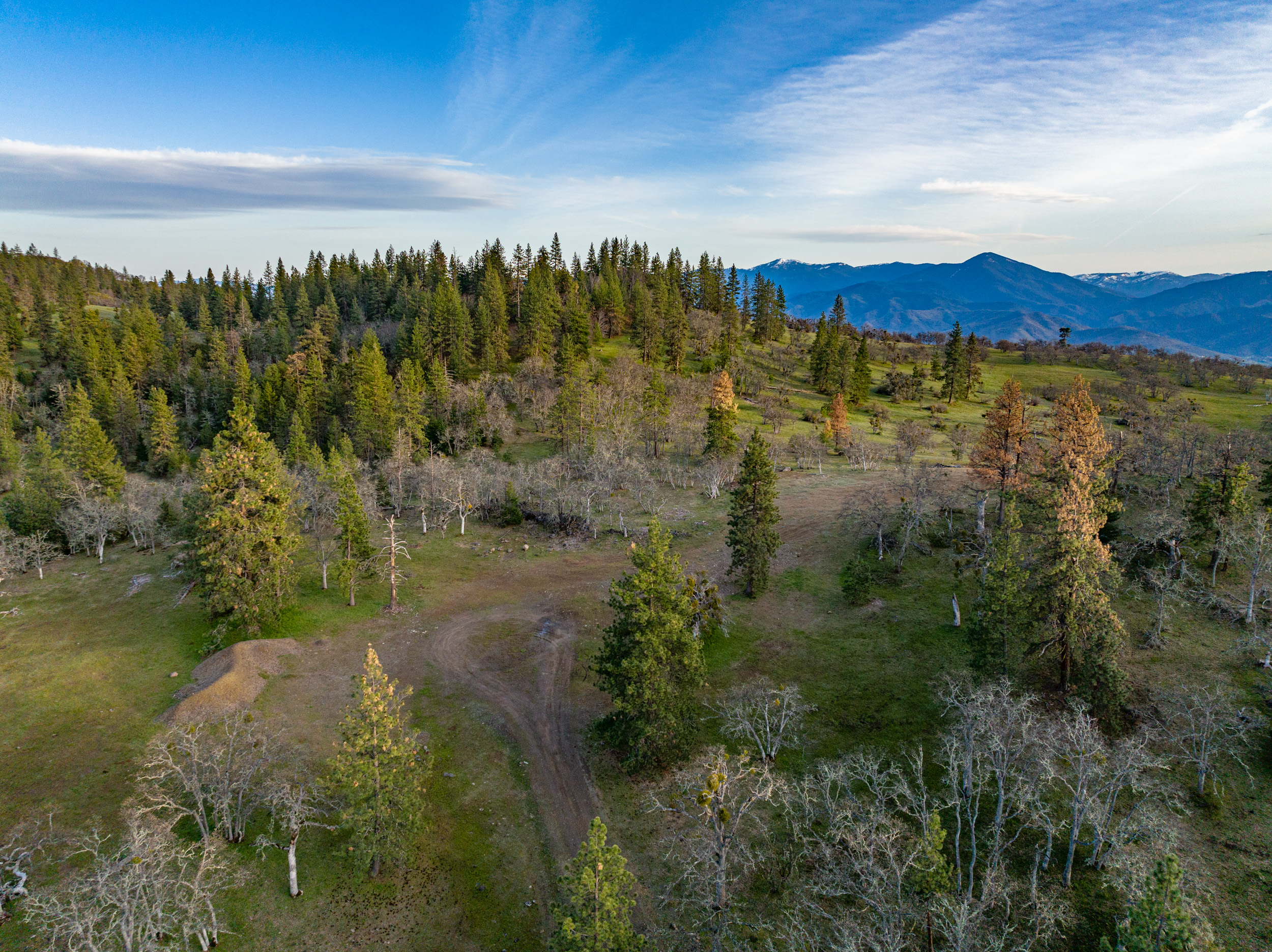 Mount Baldy Ranch
