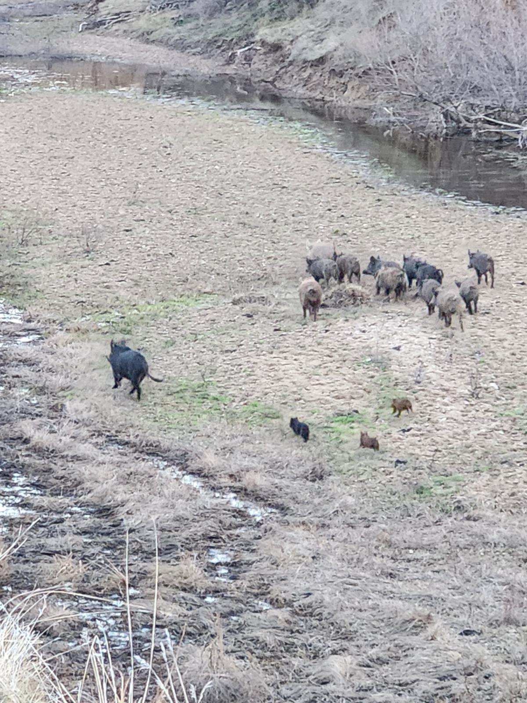 Pritchard Sumner Ranch