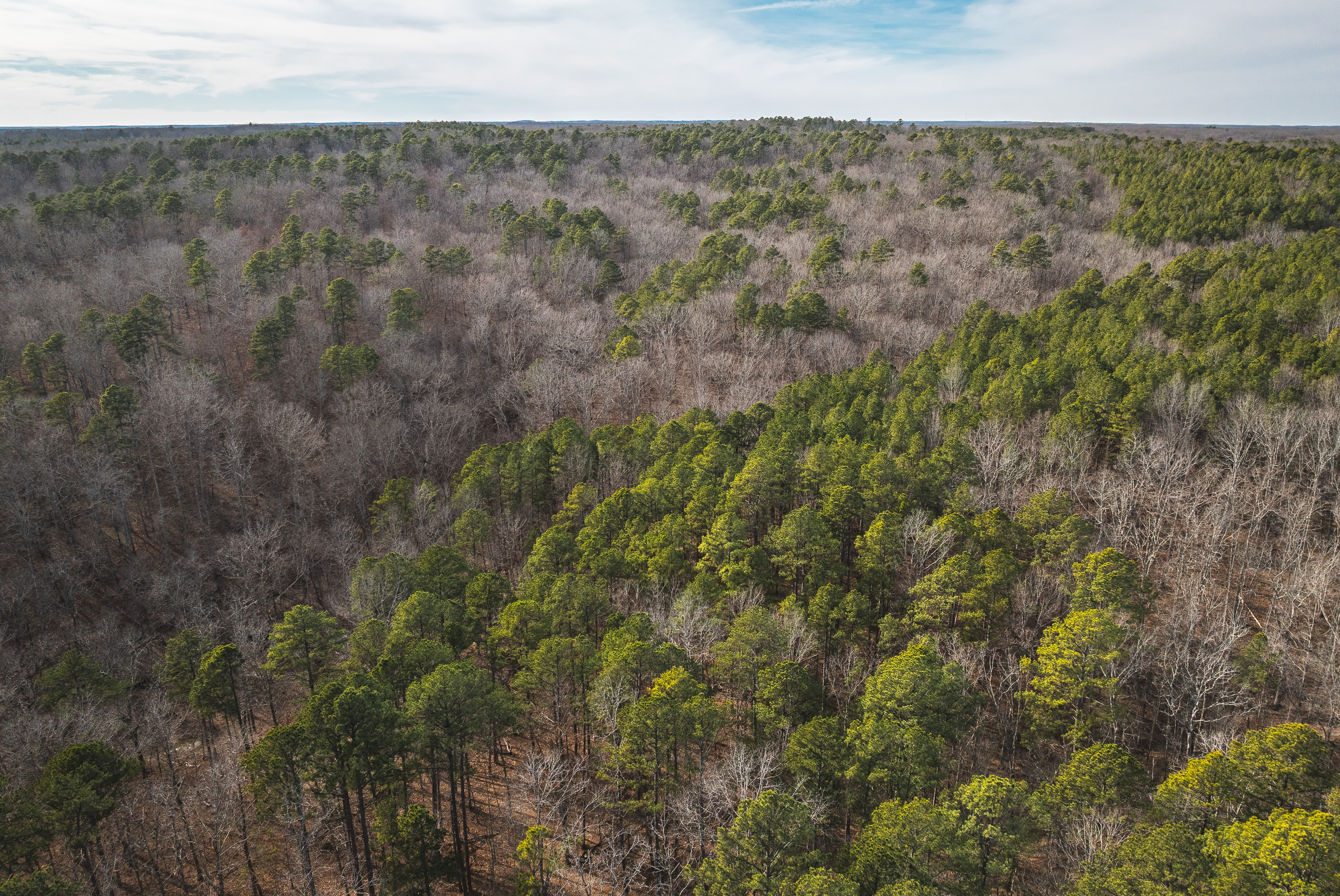 Curly Hole Camp at Peterball Spring