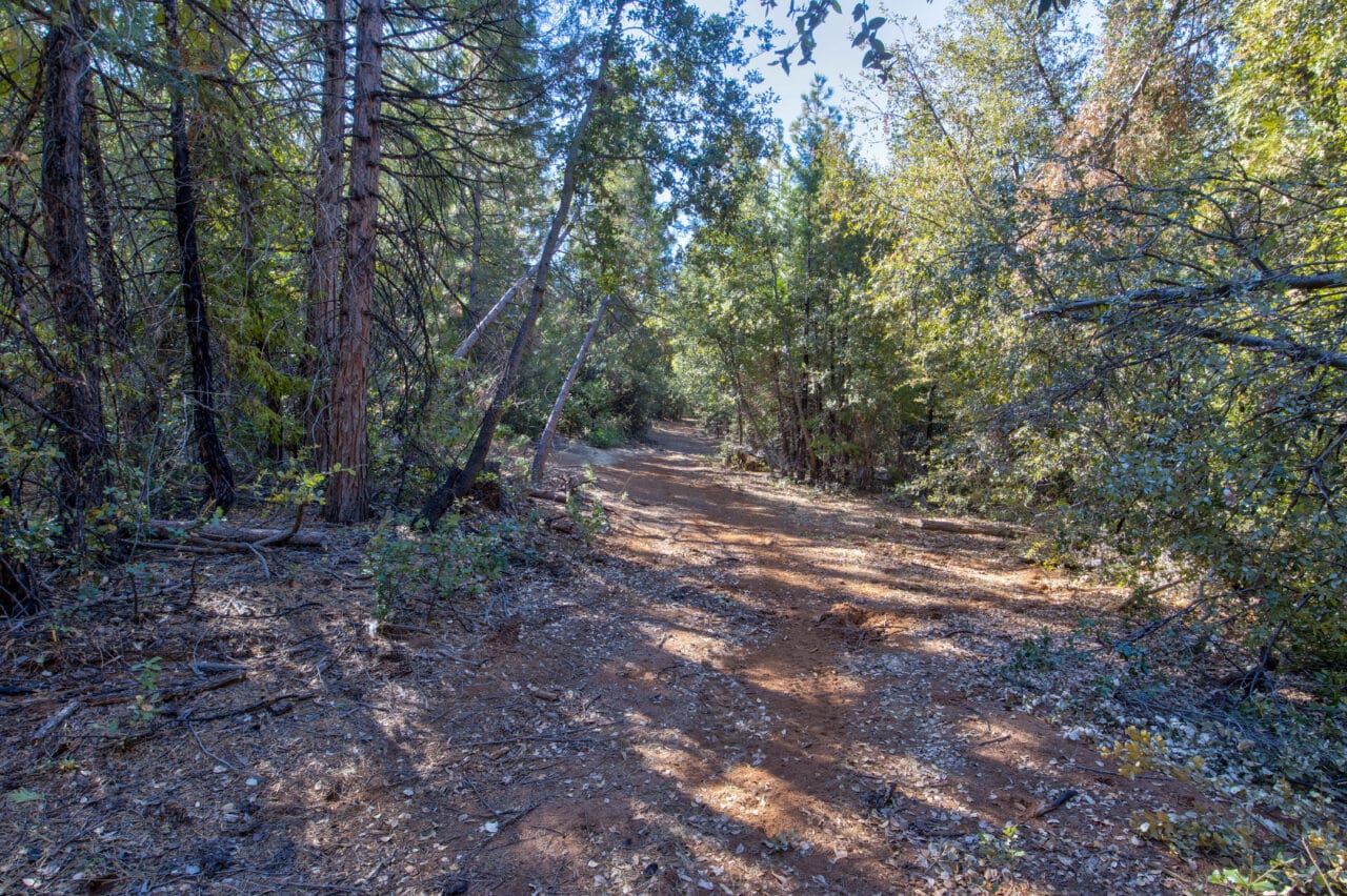 Listing Image 46