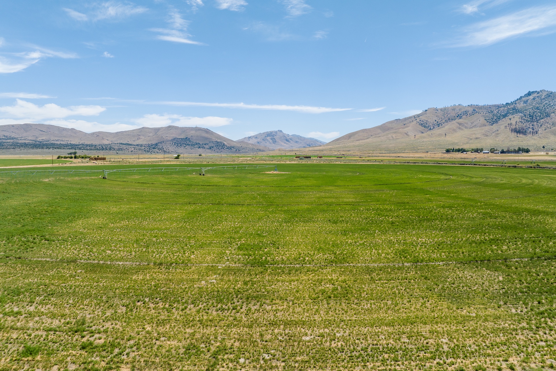 Constantia Ranch