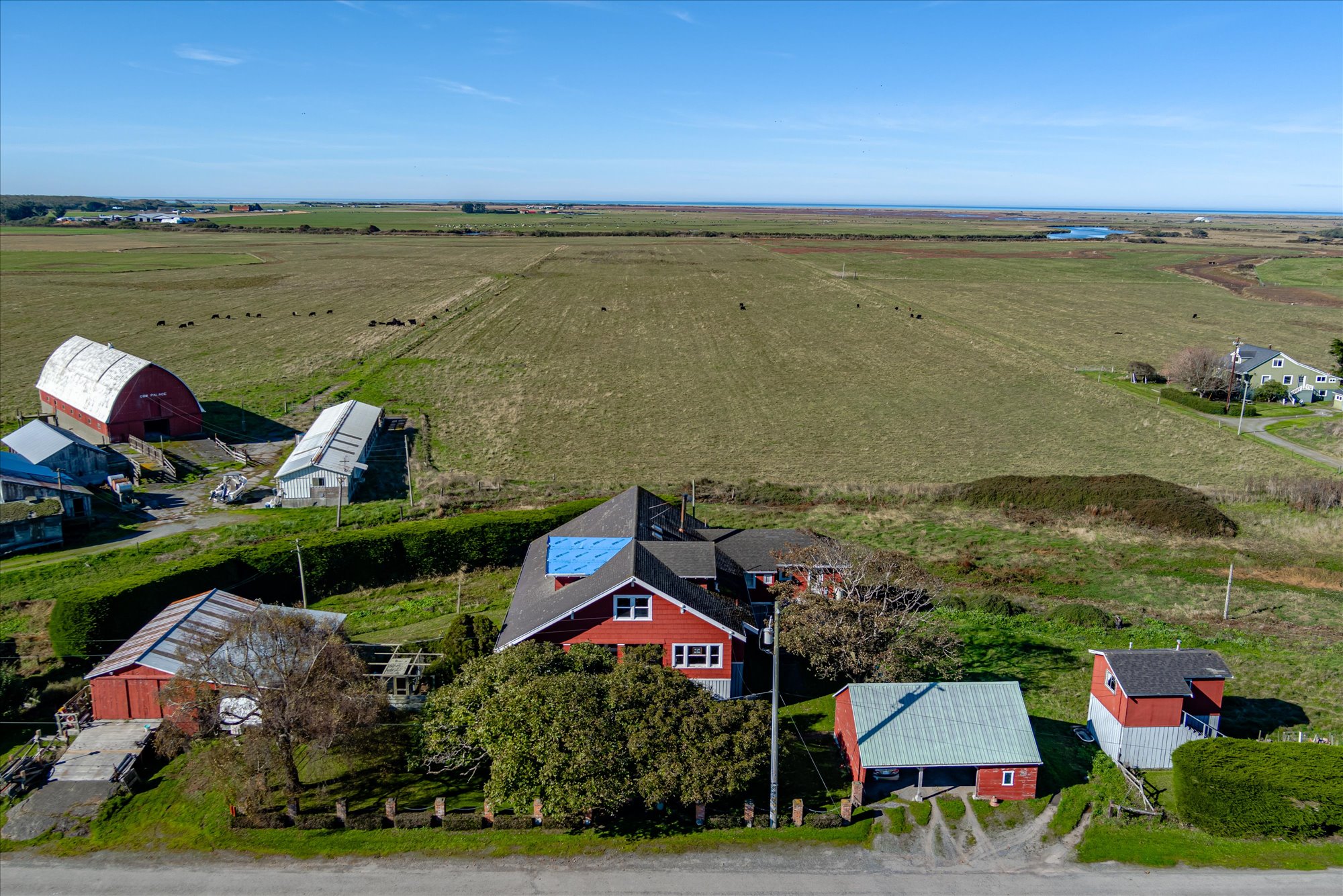 Listing Image 49