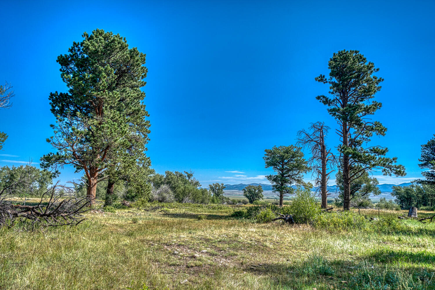 The historic Kelling homestead ranch.