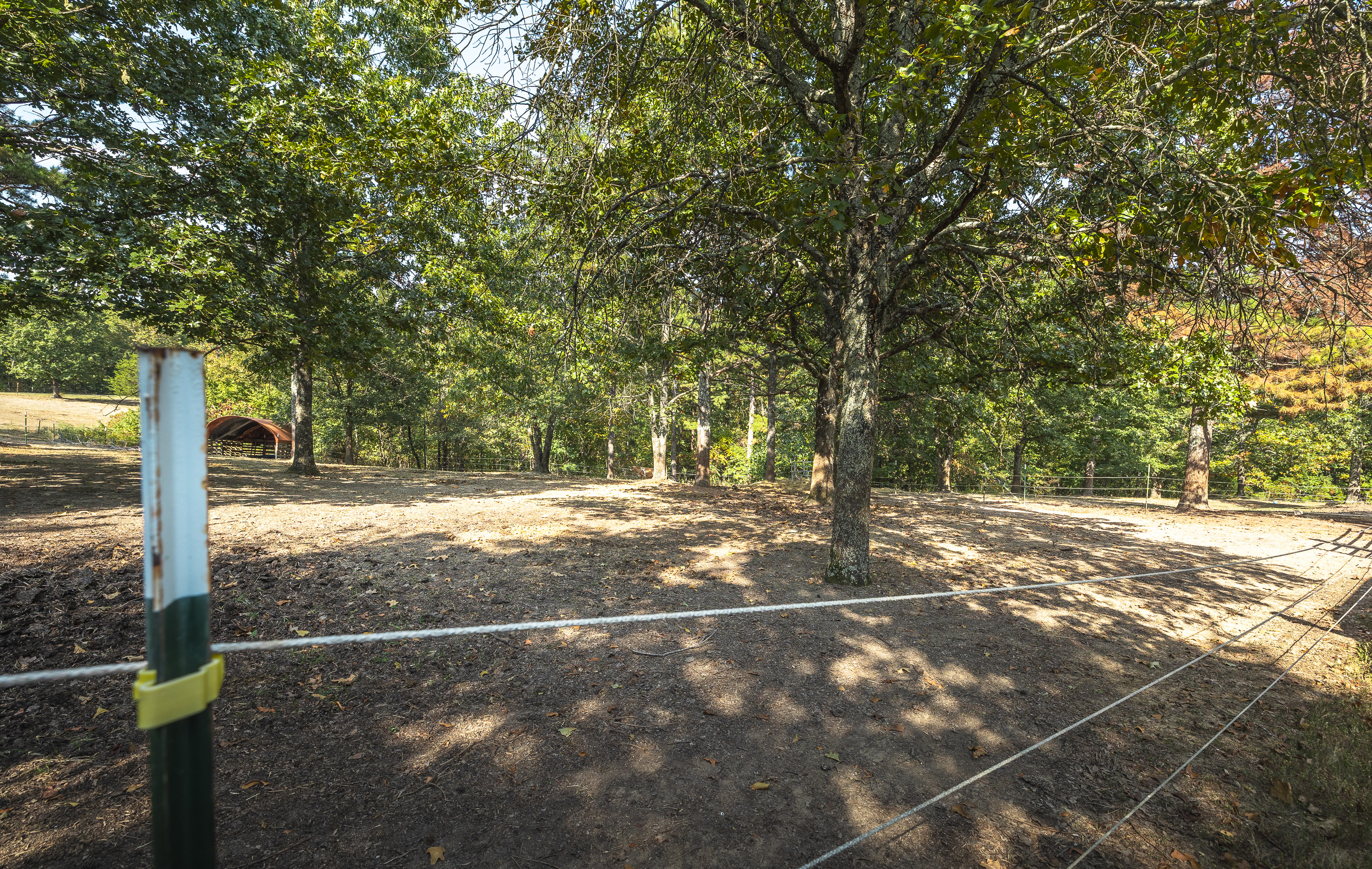 Listing Image 64