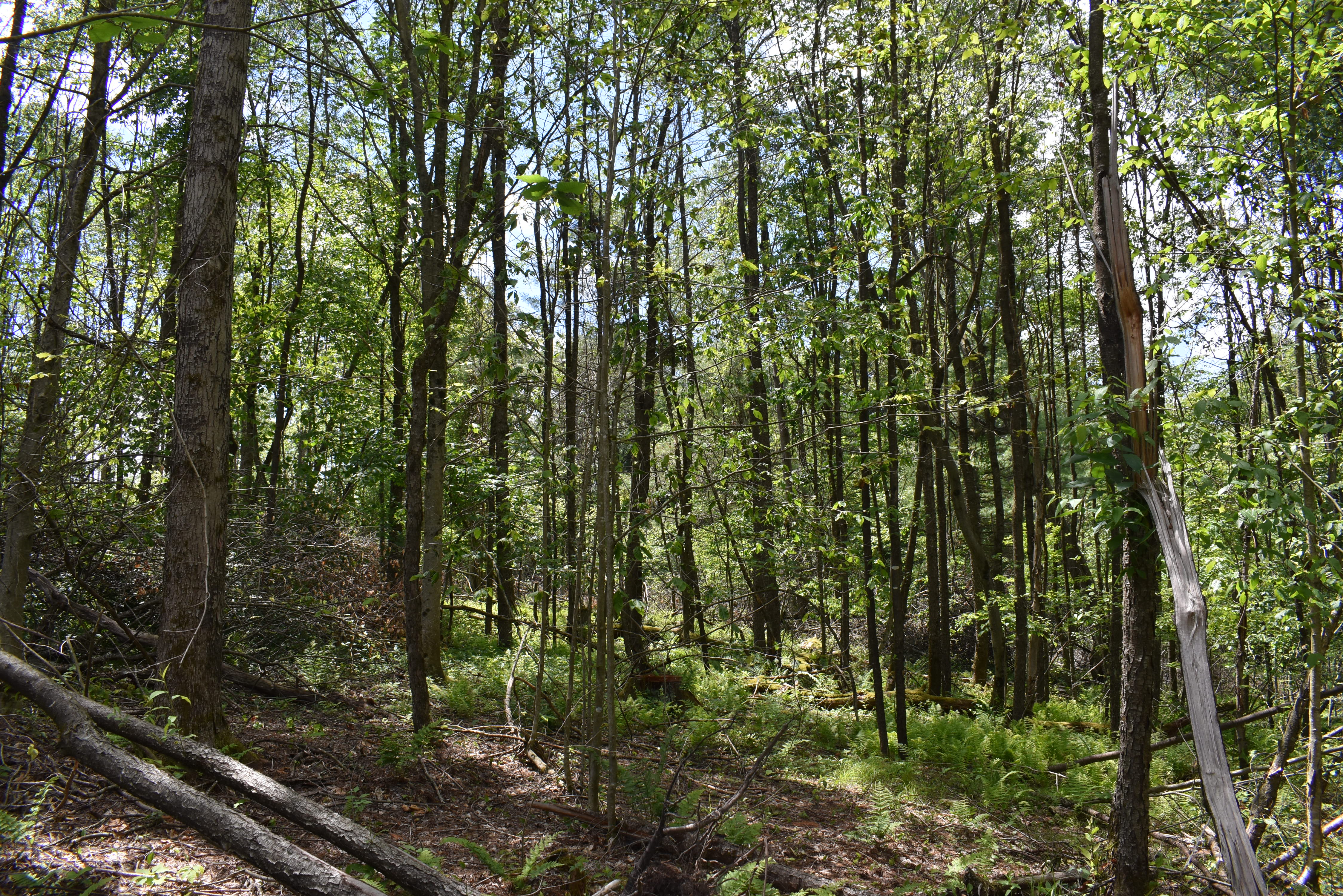 Listing Image 23