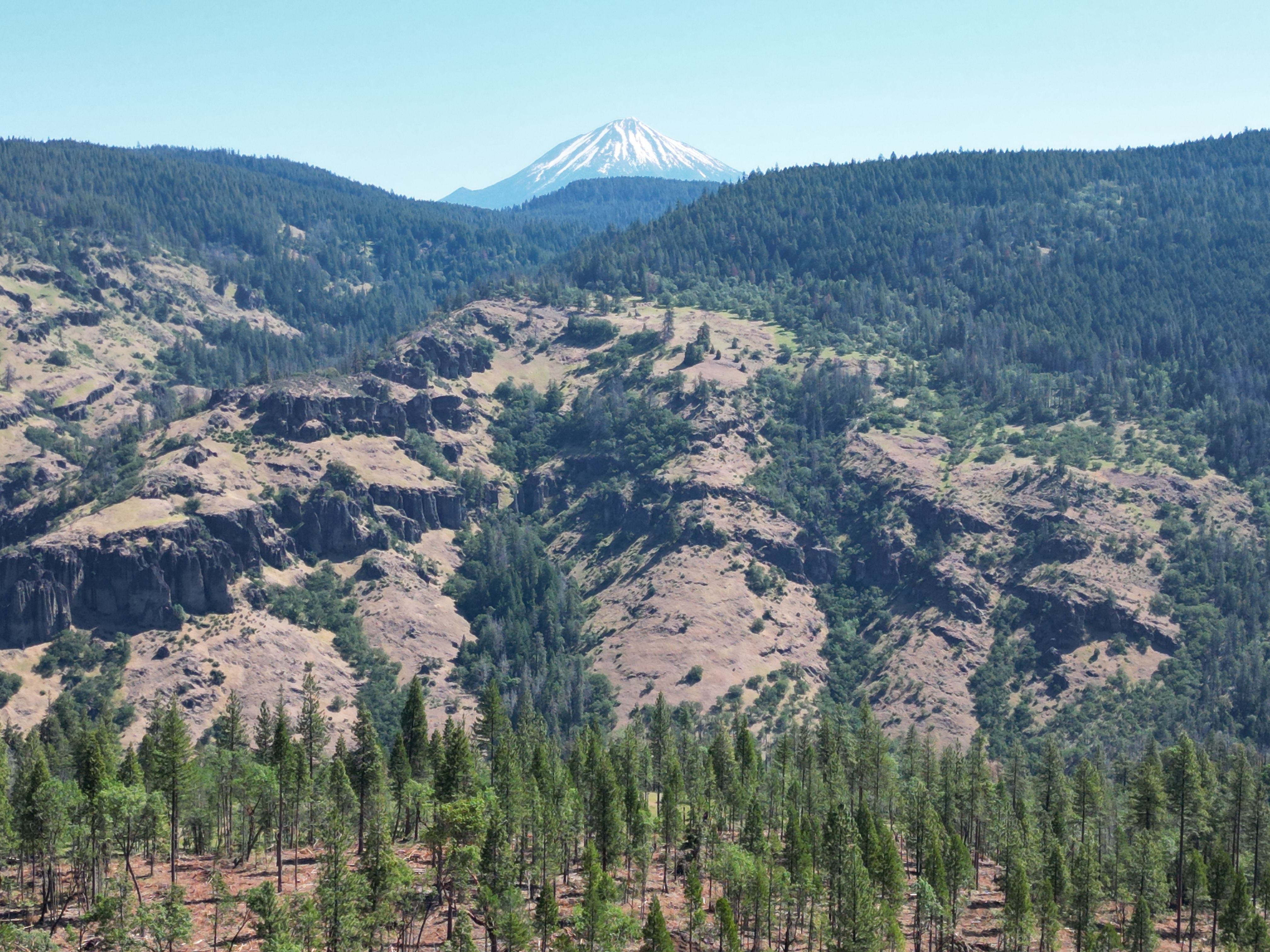 North Fork Timber