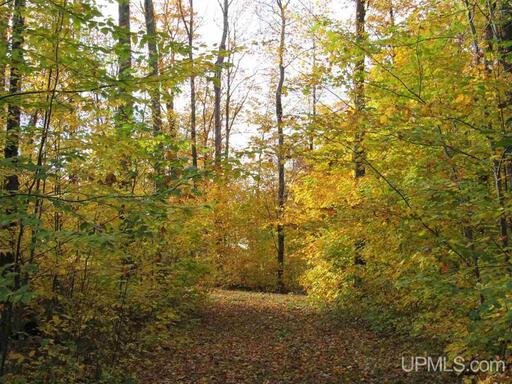 Michigan Private Lake Lot  50178194