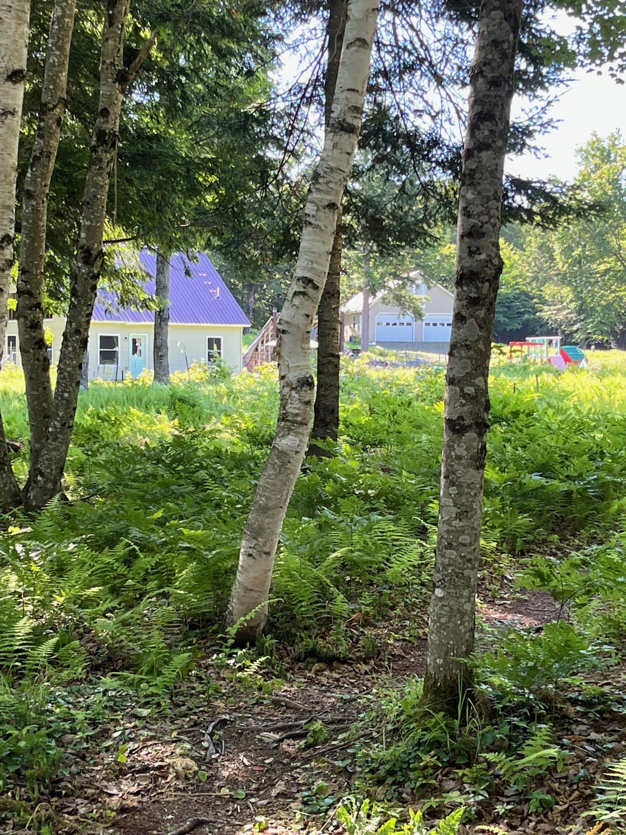 Fern Woods on Sebasticook Lake