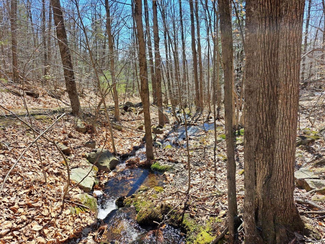 Listing Image 35