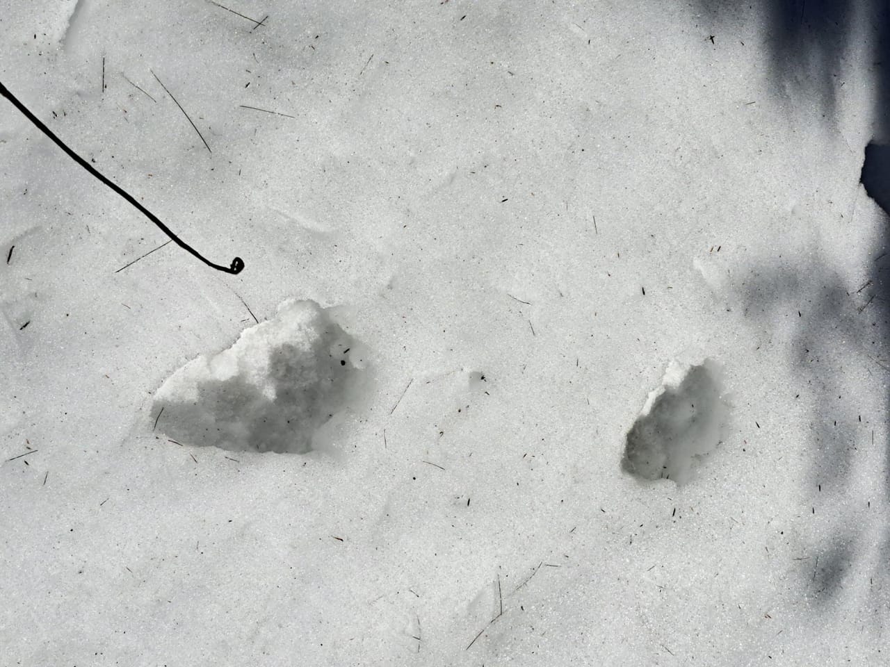 Listing Image 66