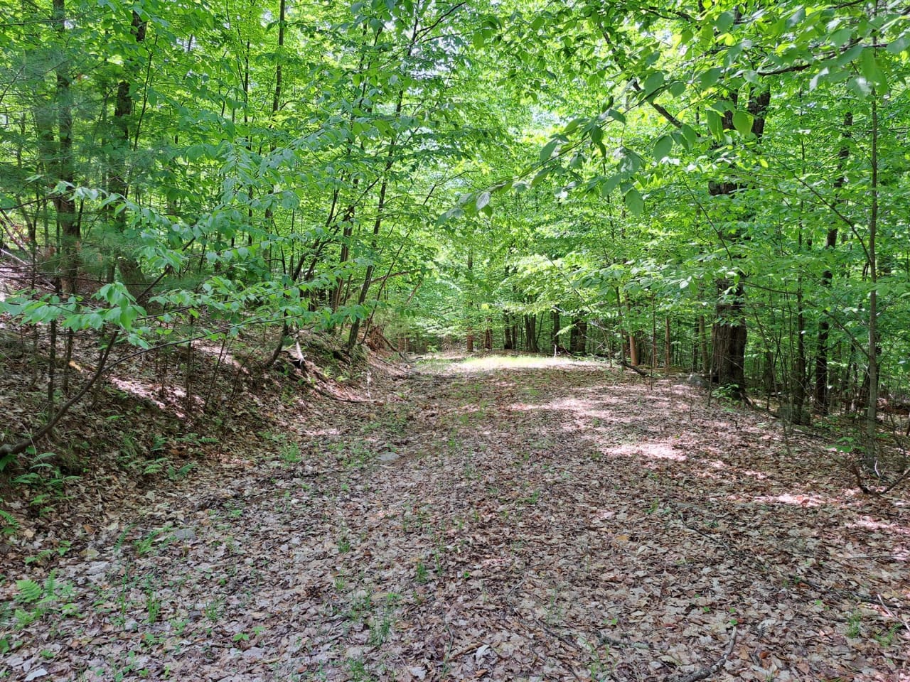 Listing Image 16