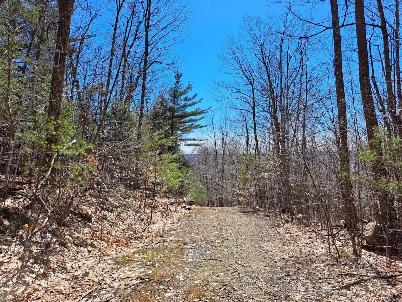 Listing Image 56