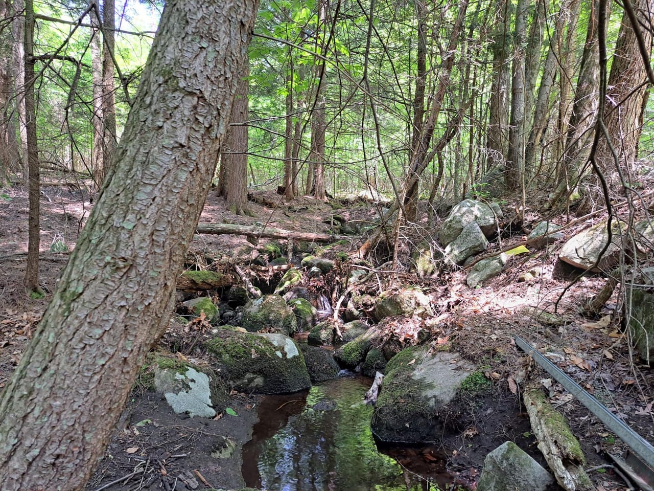 Listing Image 68