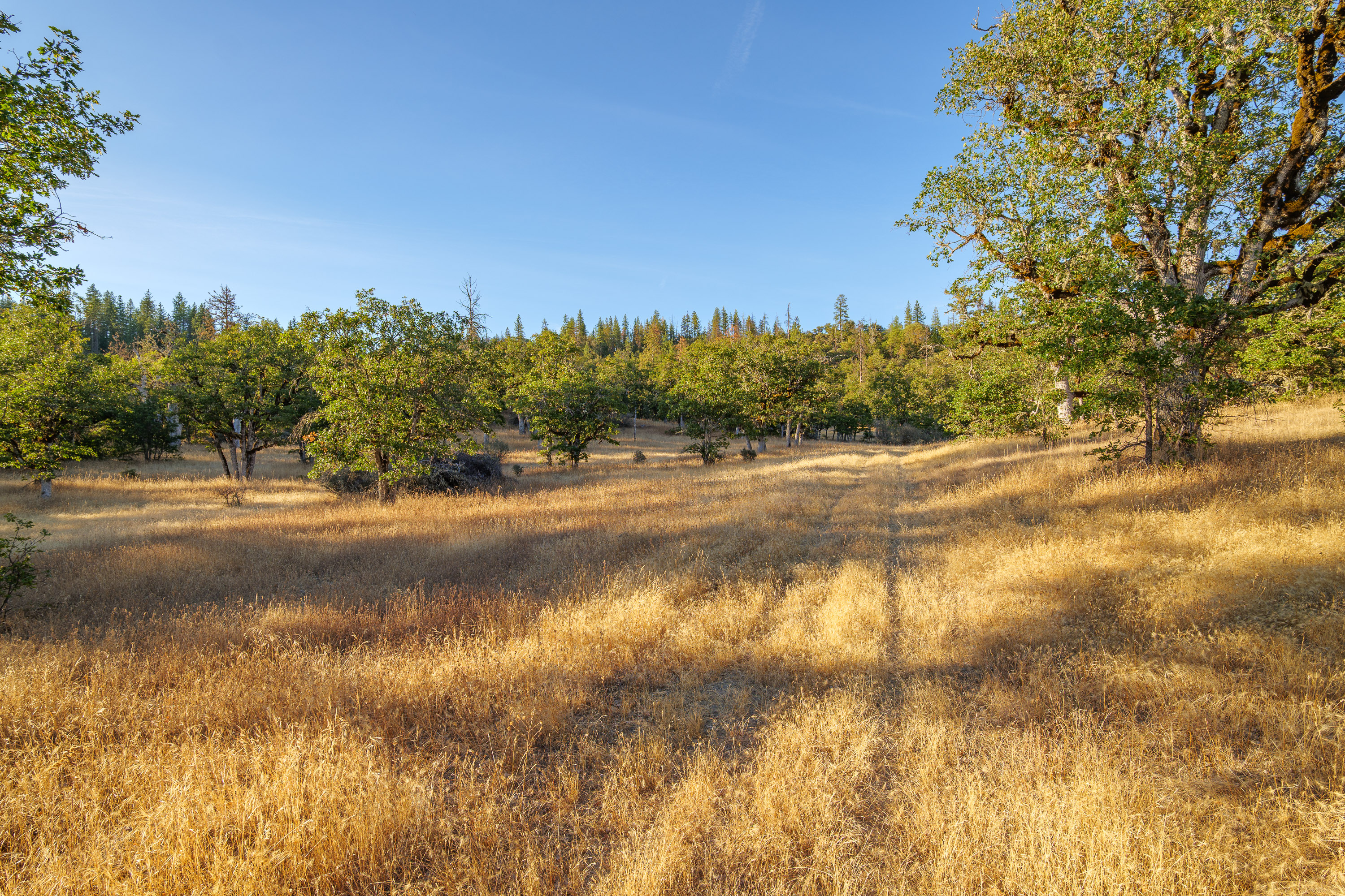 7091 Butte Falls Hwy