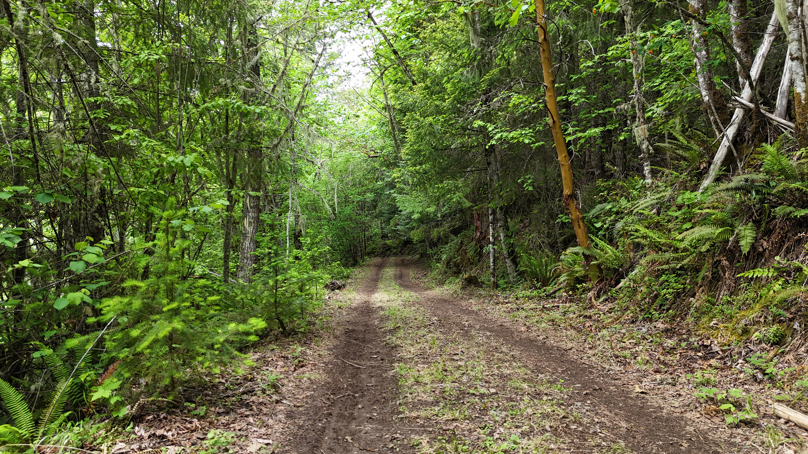 83715 Peninsula Rd Fall Creek OR