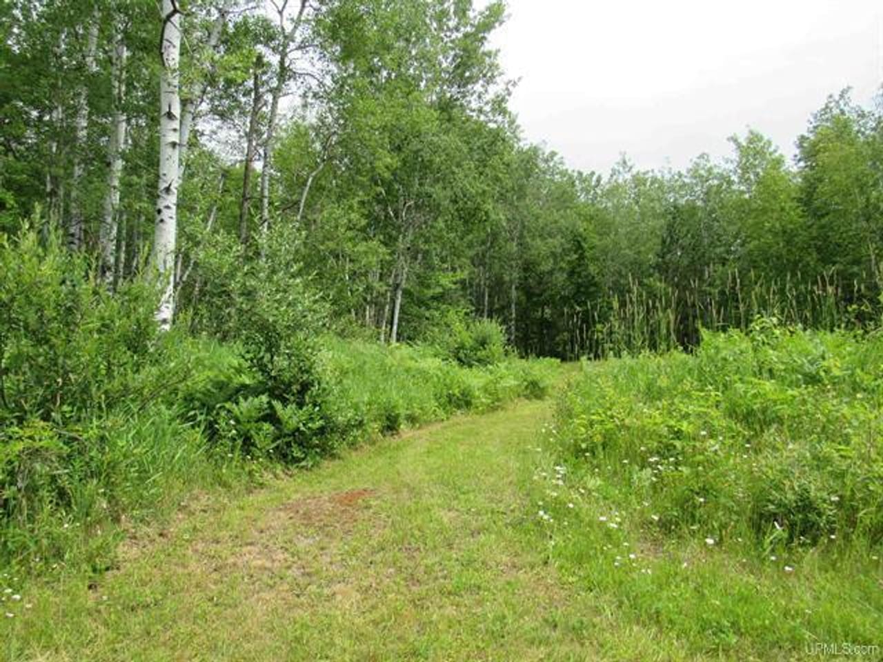 Listing Image 16