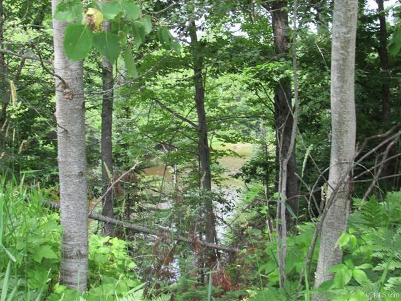 Listing Image 69