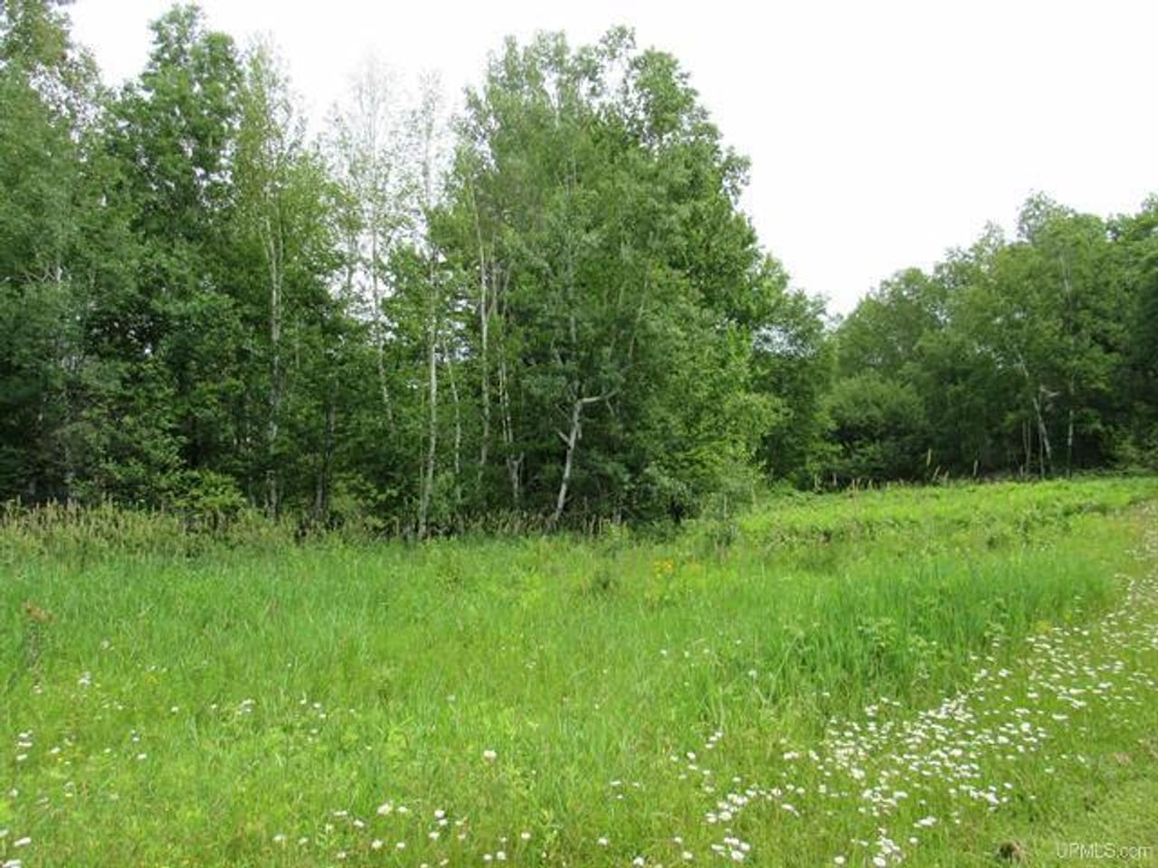 Listing Image 79