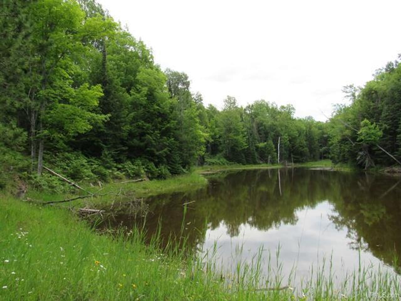 Listing Image 34