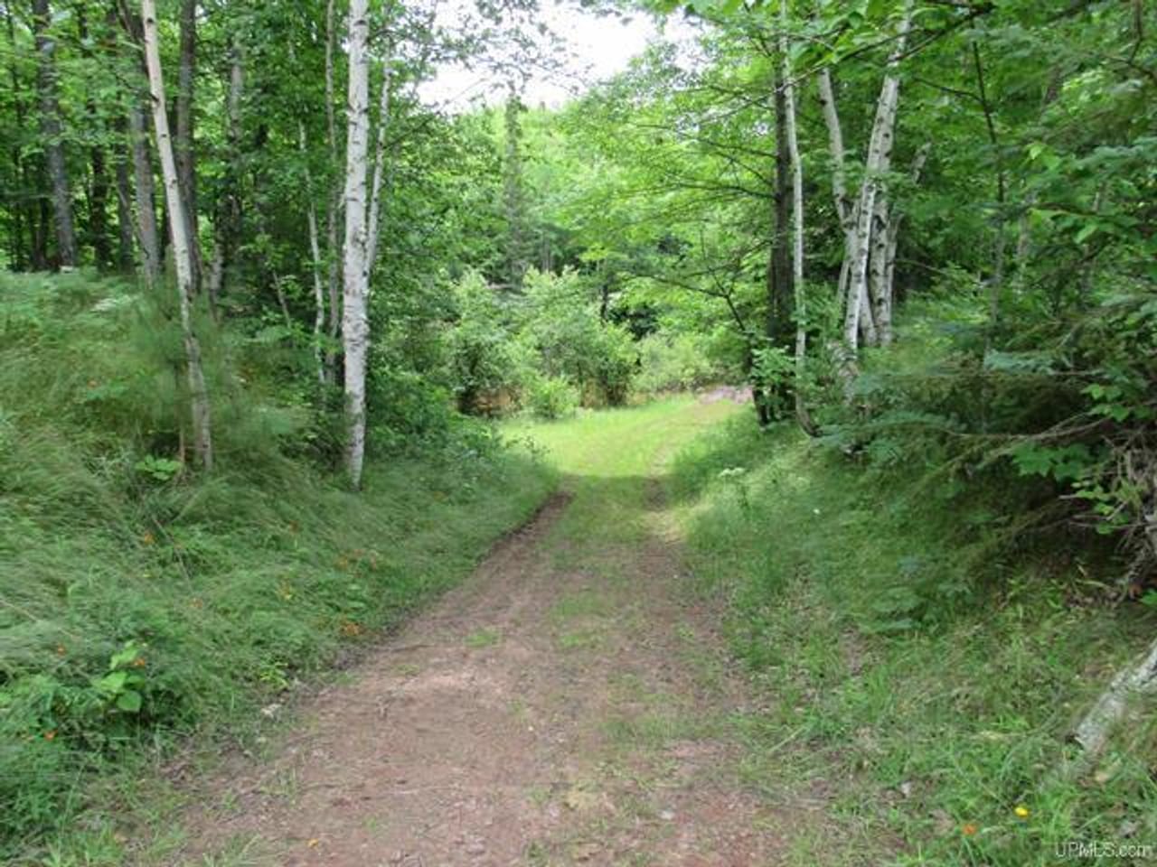 Listing Image 54