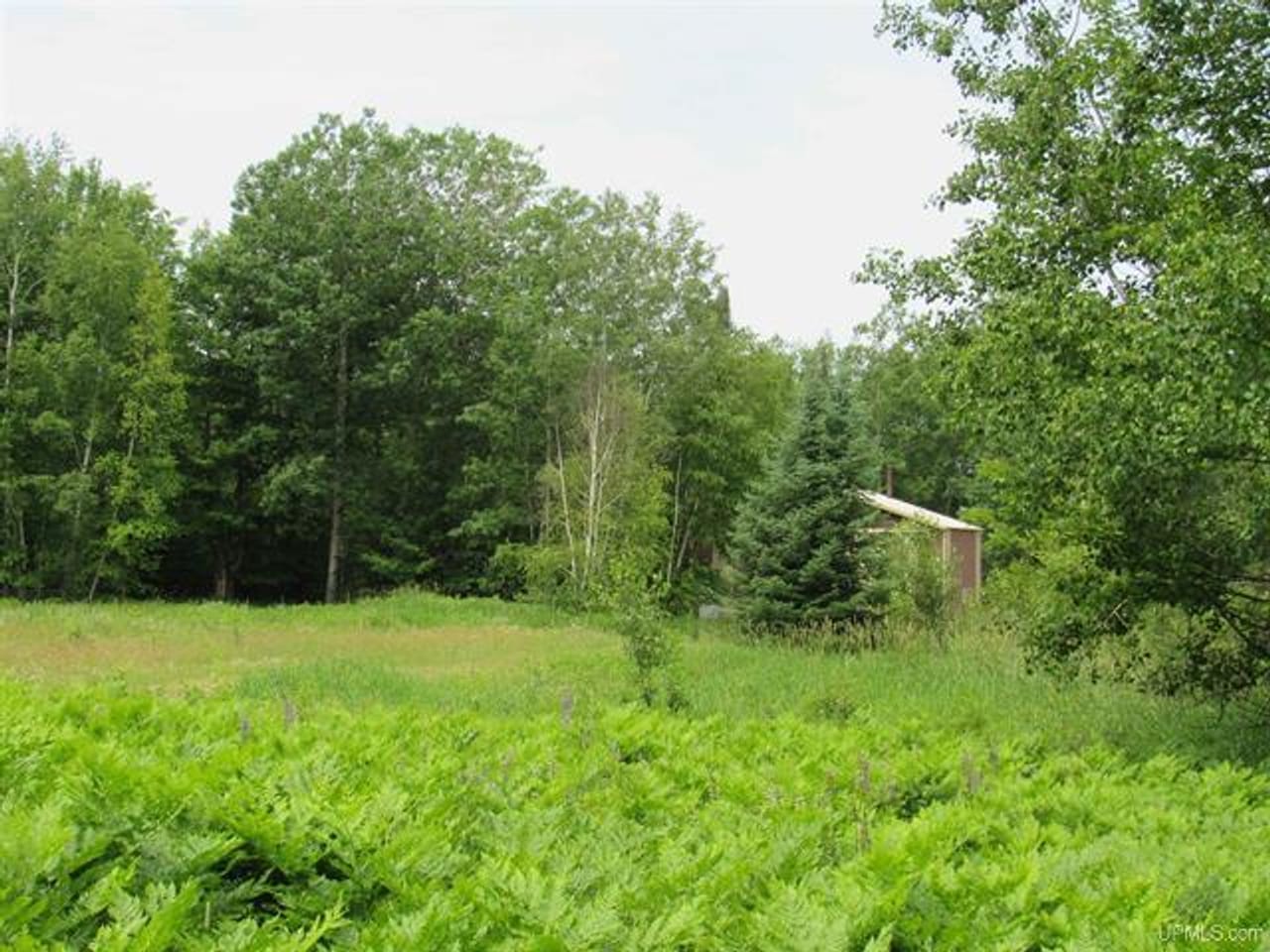 Listing Image 67