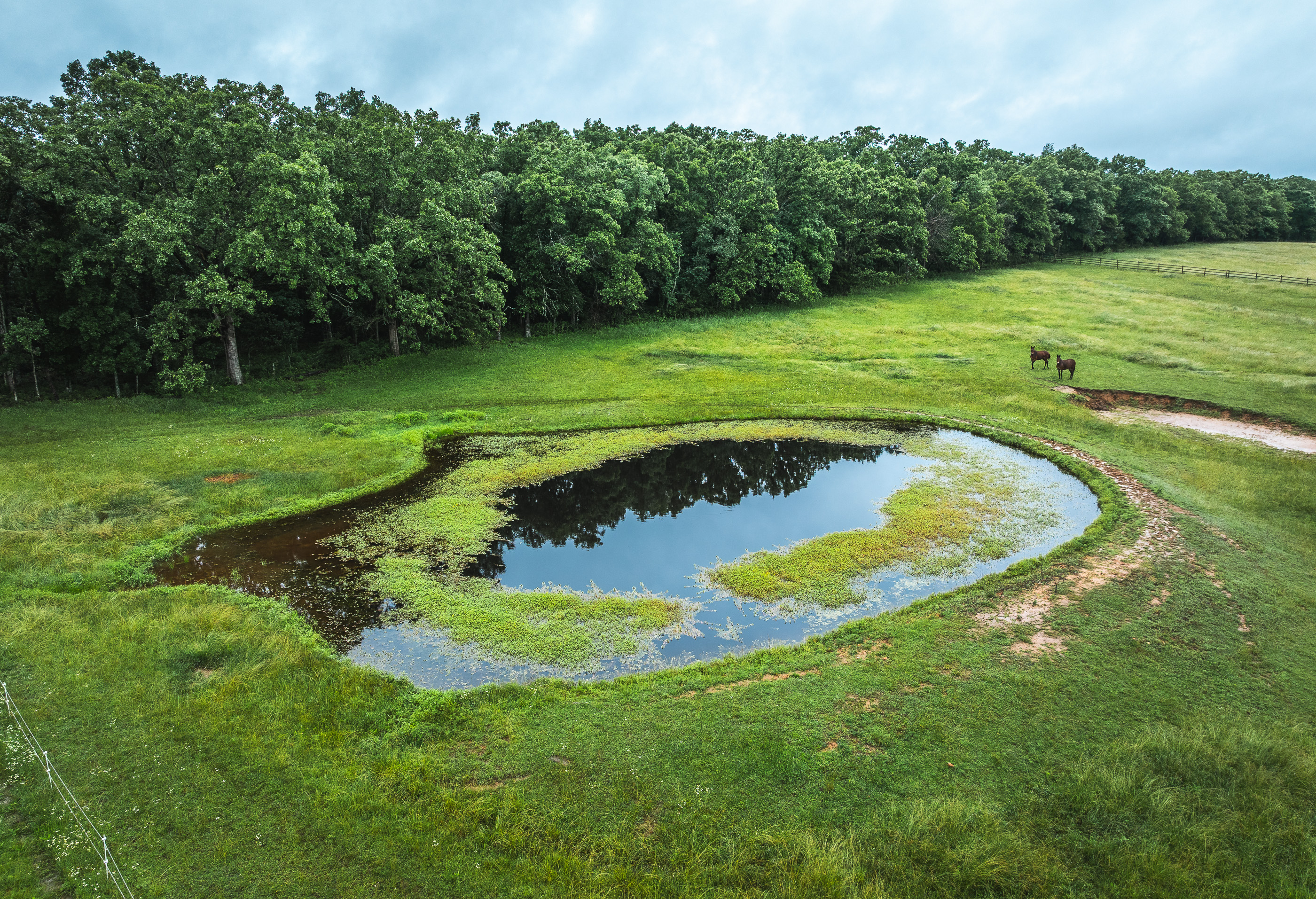 T-Cross Farm Tract 3