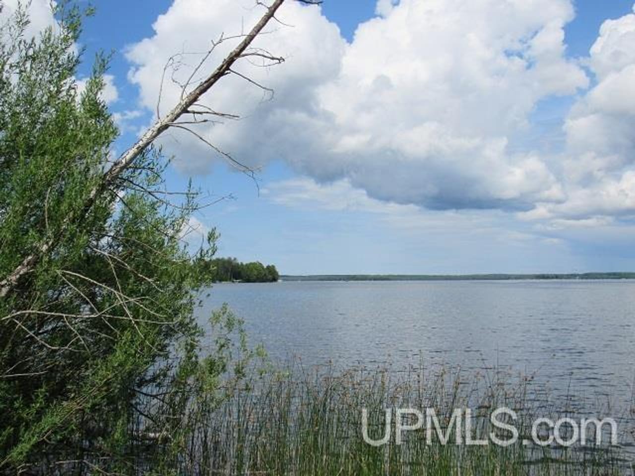 50 Acres Big Manistique Lake Prop 50114569