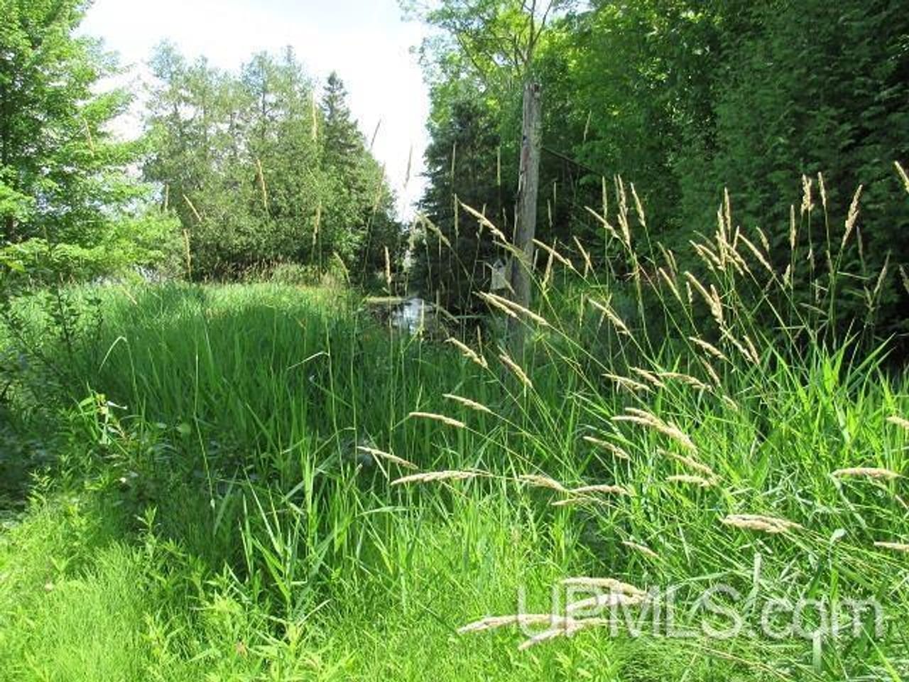 50 Acres Big Manistique Lake Prop 50114569