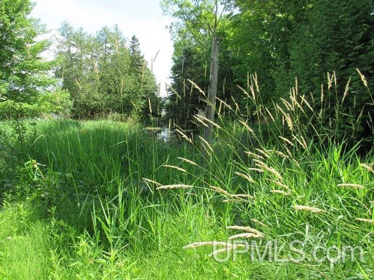50 Acres Big Manistique Lake Prop 50114569
