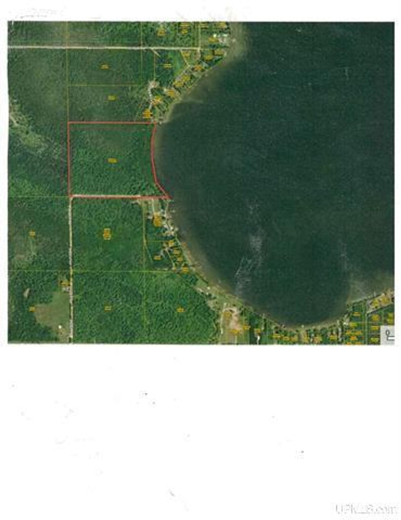 50 Acres Big Manistique Lake Prop 50114569