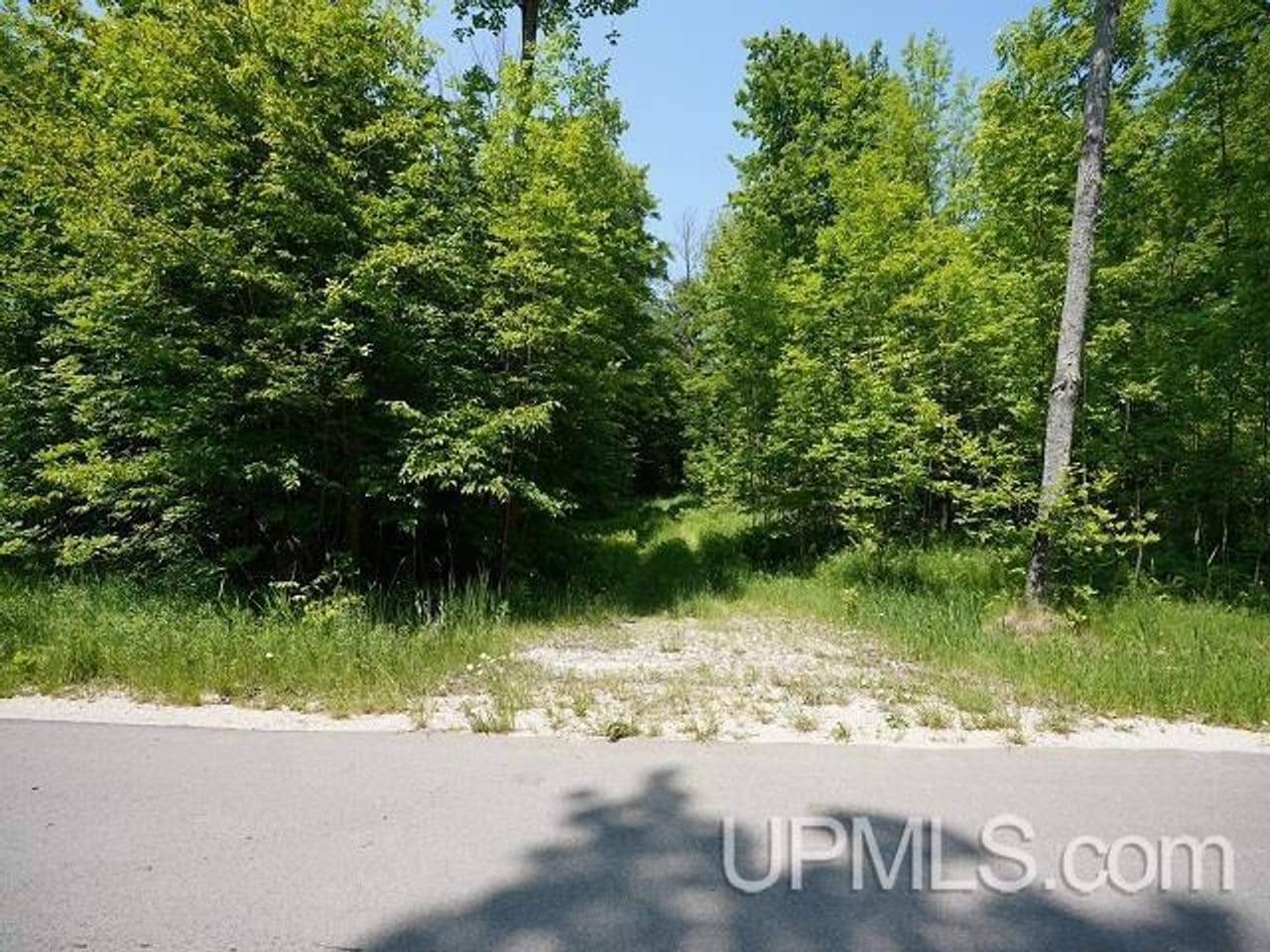 50 Acres Big Manistique Lake Prop 50114569