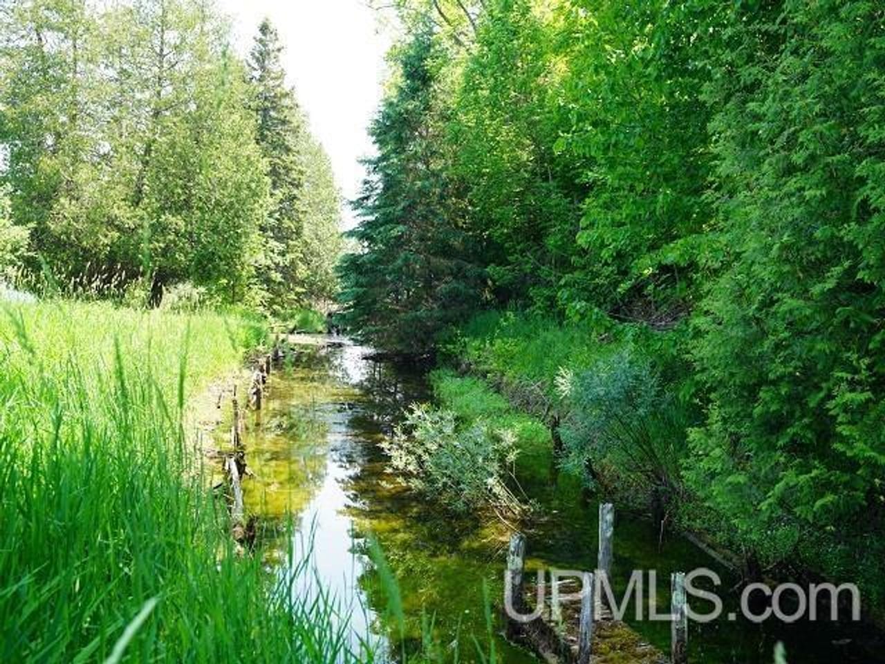 50 Acres Big Manistique Lake Prop 50114569