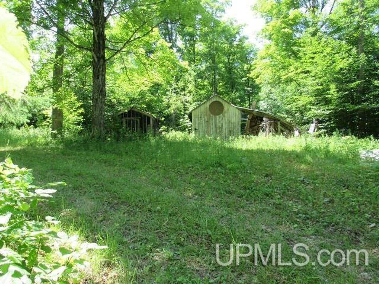 50 Acres Big Manistique Lake Prop 50114569